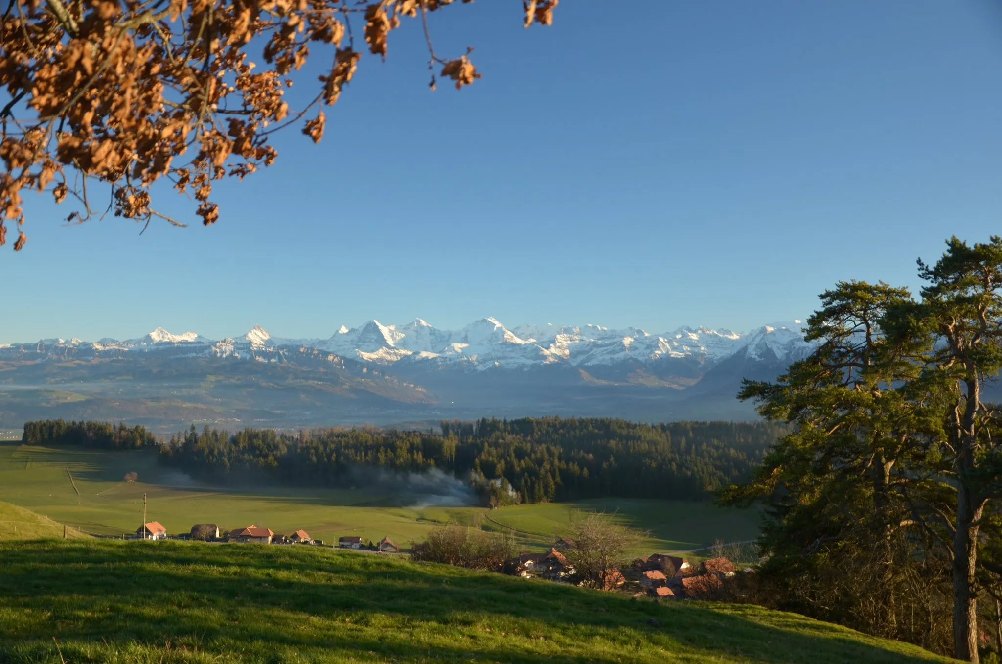 Photo showing: Bernese Alps view from Buetschelegg