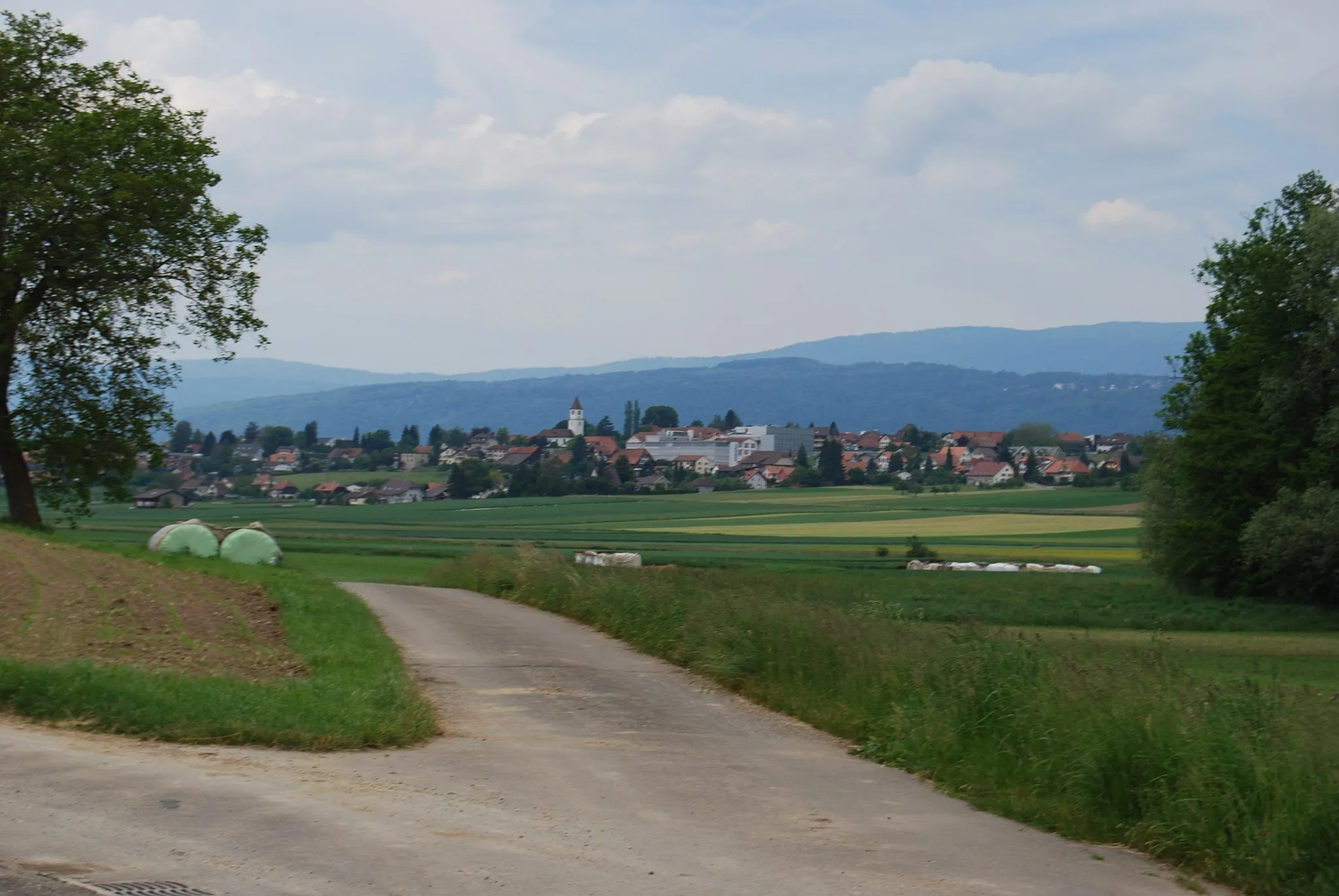 Photo showing: Täuffelen, canton of Bern, Switzerland