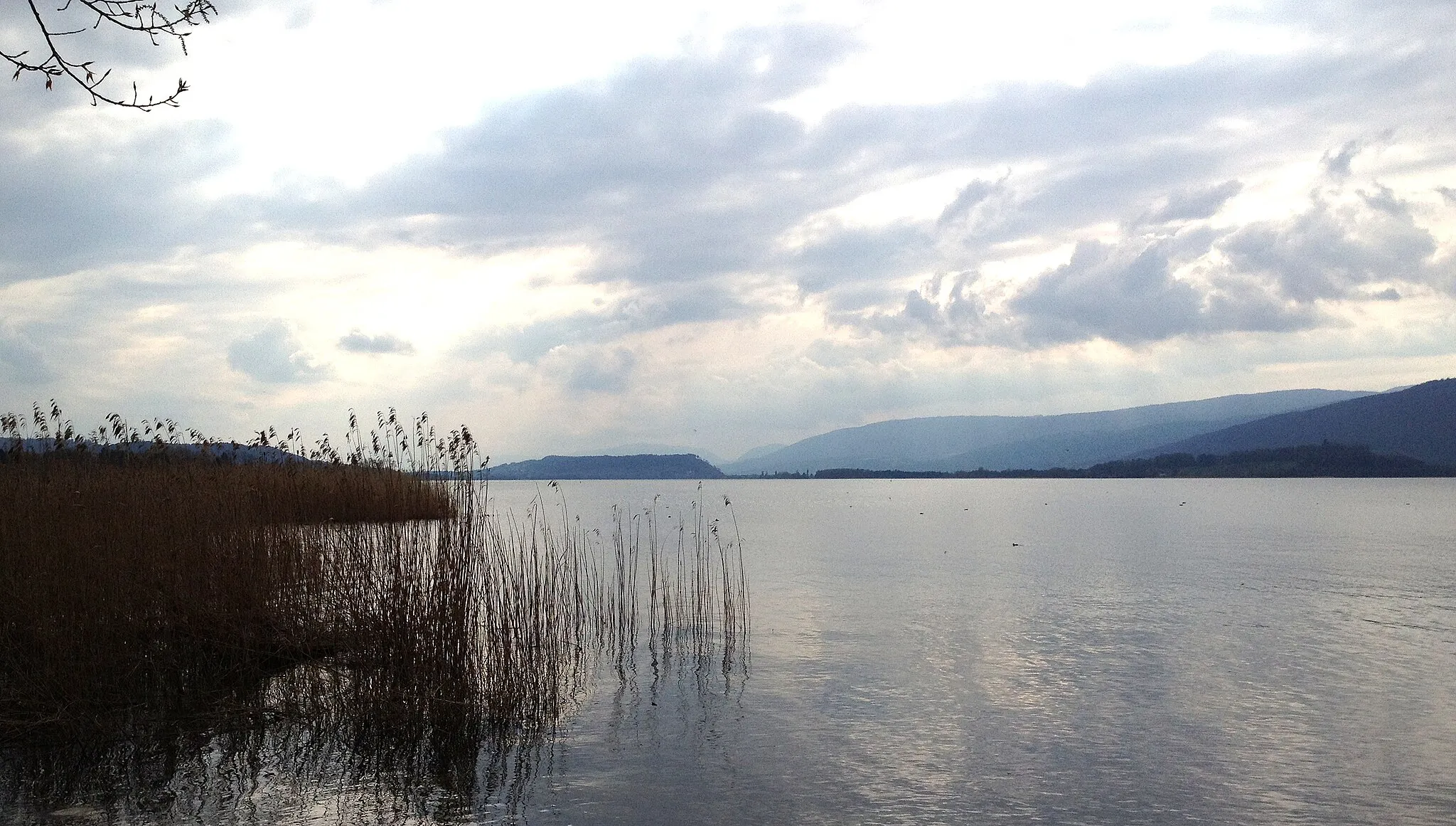 Photo showing: Lake Biel between Hagneckkanal (mouth of Aare) and Gerolfingen. Bird sanctuary and nature reserve.