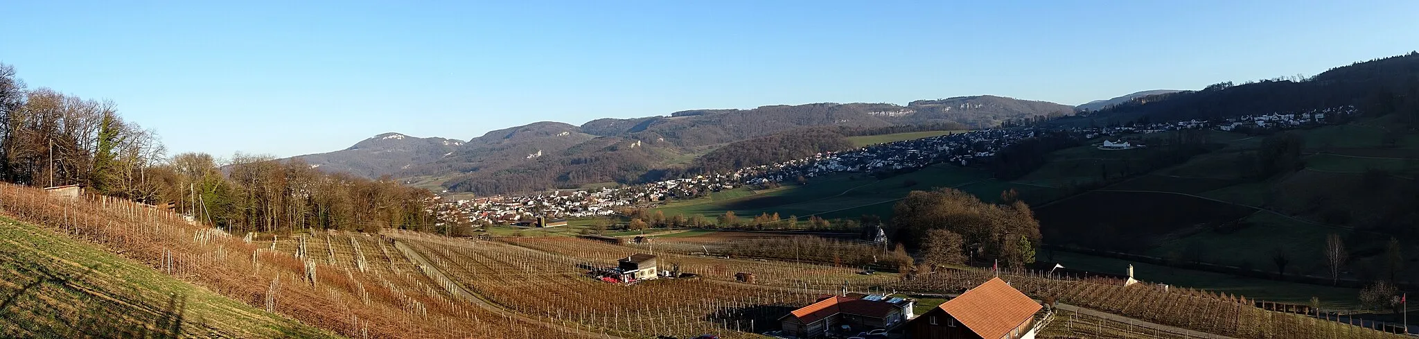 Photo showing: Panoramablick nach Aesch von dem oberen Rebbergweg in der Klus aus gesehen