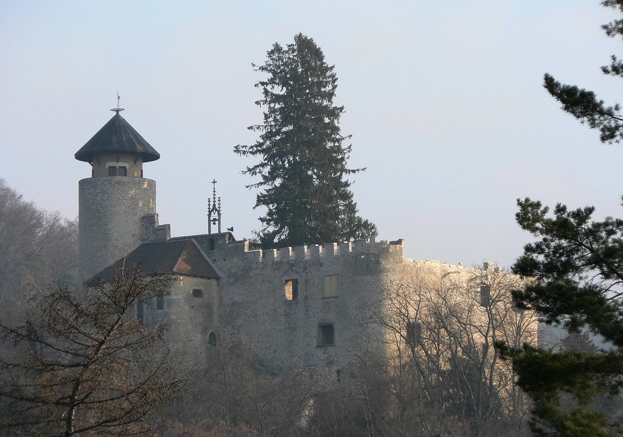 Photo showing: Photograph of Castle Birseck near Arlesheim(BL), Switzerland