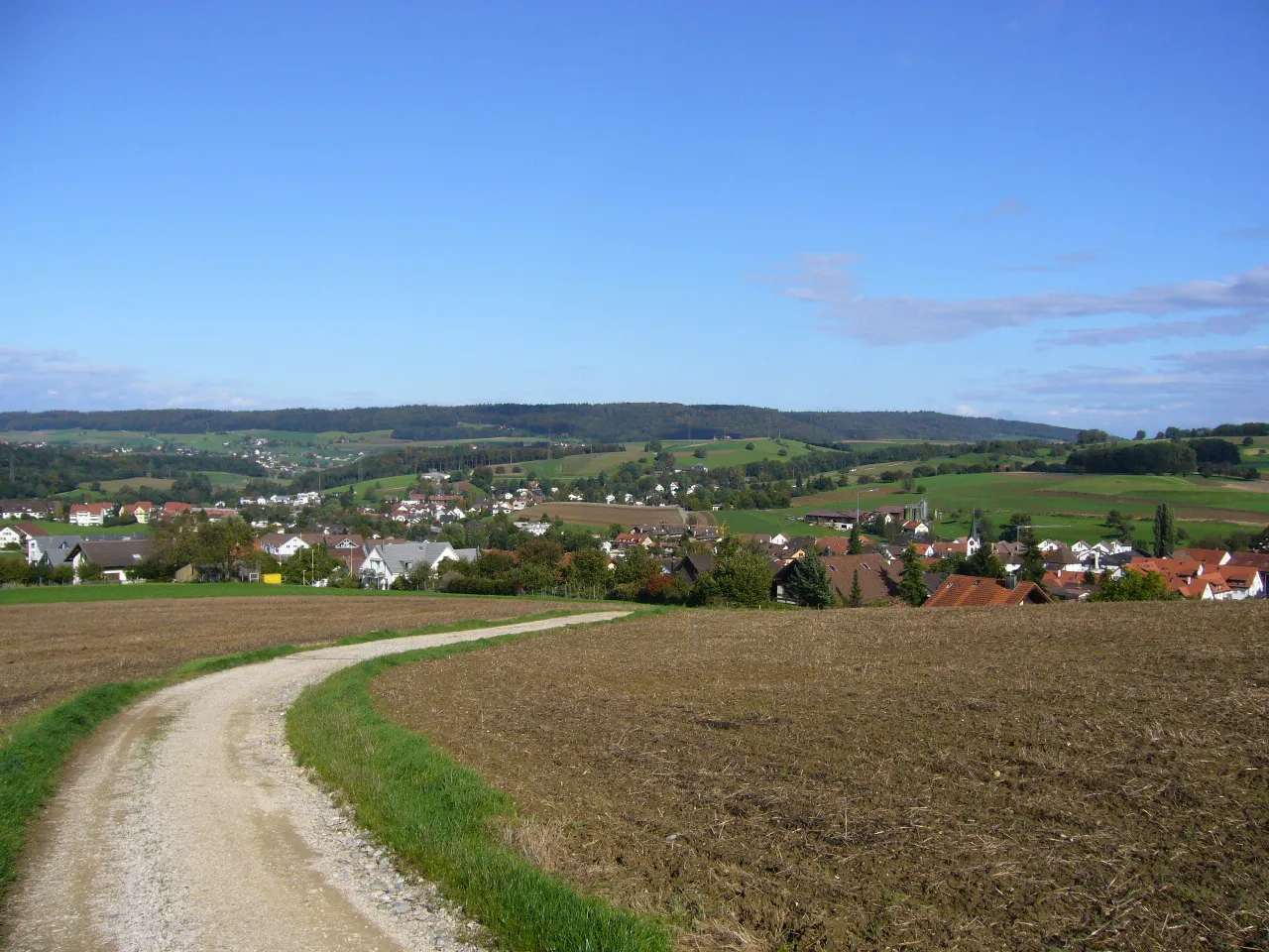 Photo showing: The village of Ehrendingen, canton of Aargau, Switzerland. Picture taken by Peter Berger, October 7, 2006.