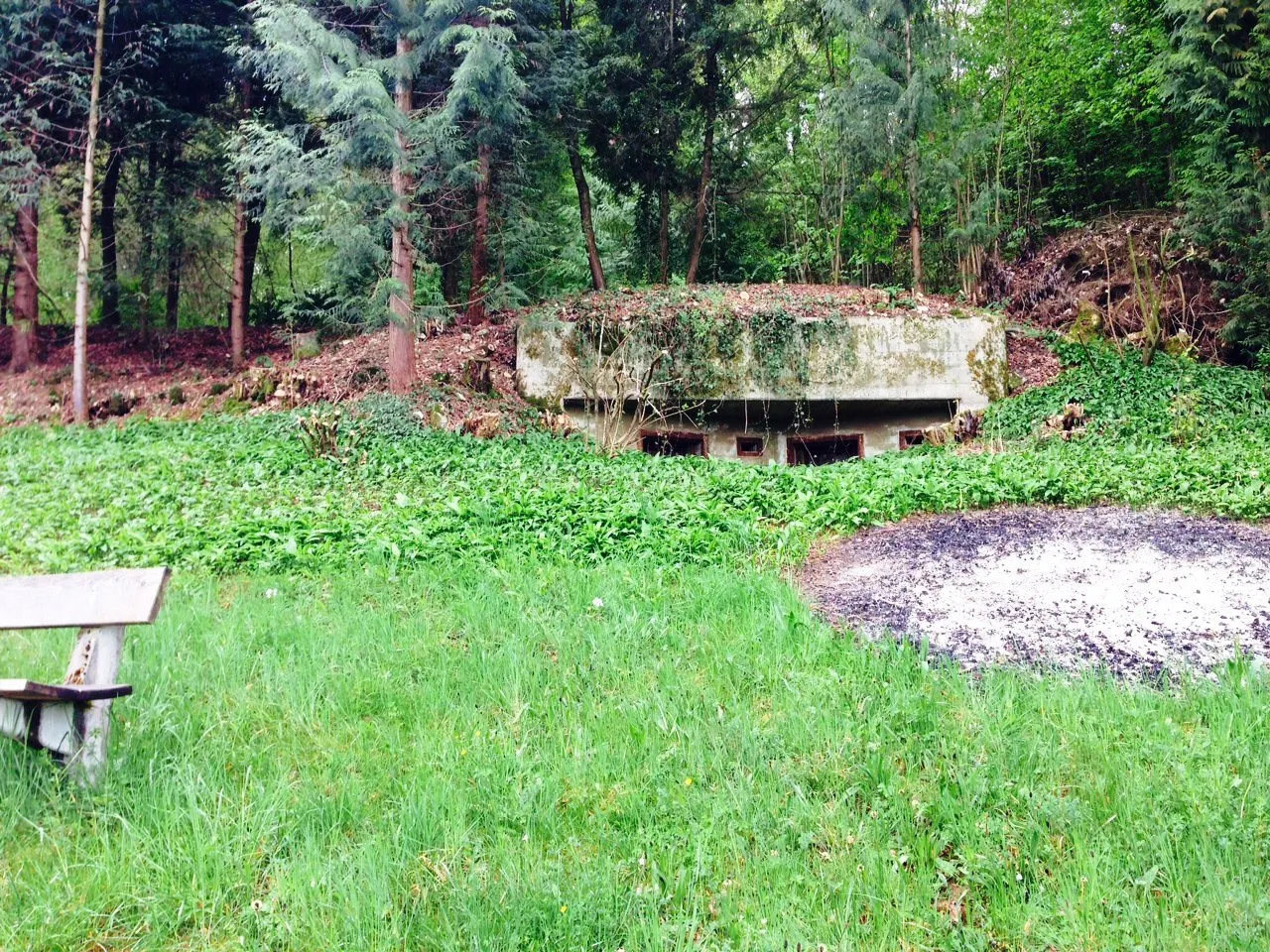 Photo showing: Infanteriebunker A4361 Eiken Grotte (Sperrstelle Eiken oder Hardwald)). Sicht vom Kreuzweg gegen die Lourdes-Grotte hin.