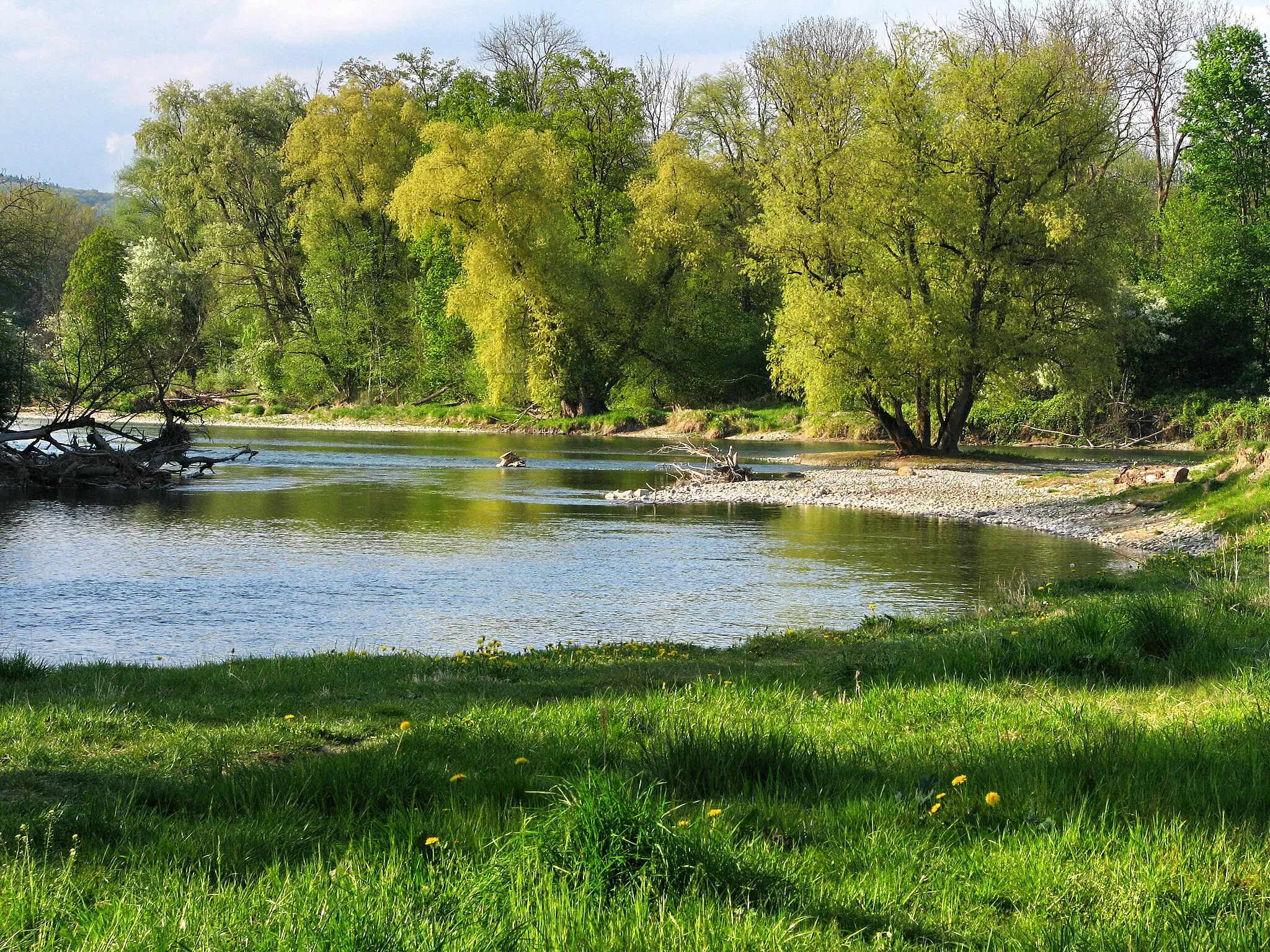 Photo showing: Limmatspitz protected area in Vogelsang (Gebenstorf): confluence of the rivers Aare and Limmat within the so-called Wasserschloss.