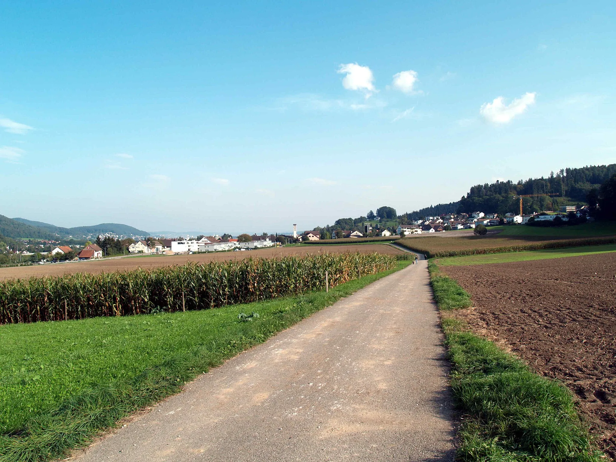 Photo showing: Blick auf Killwangen von Seite Neuenhof