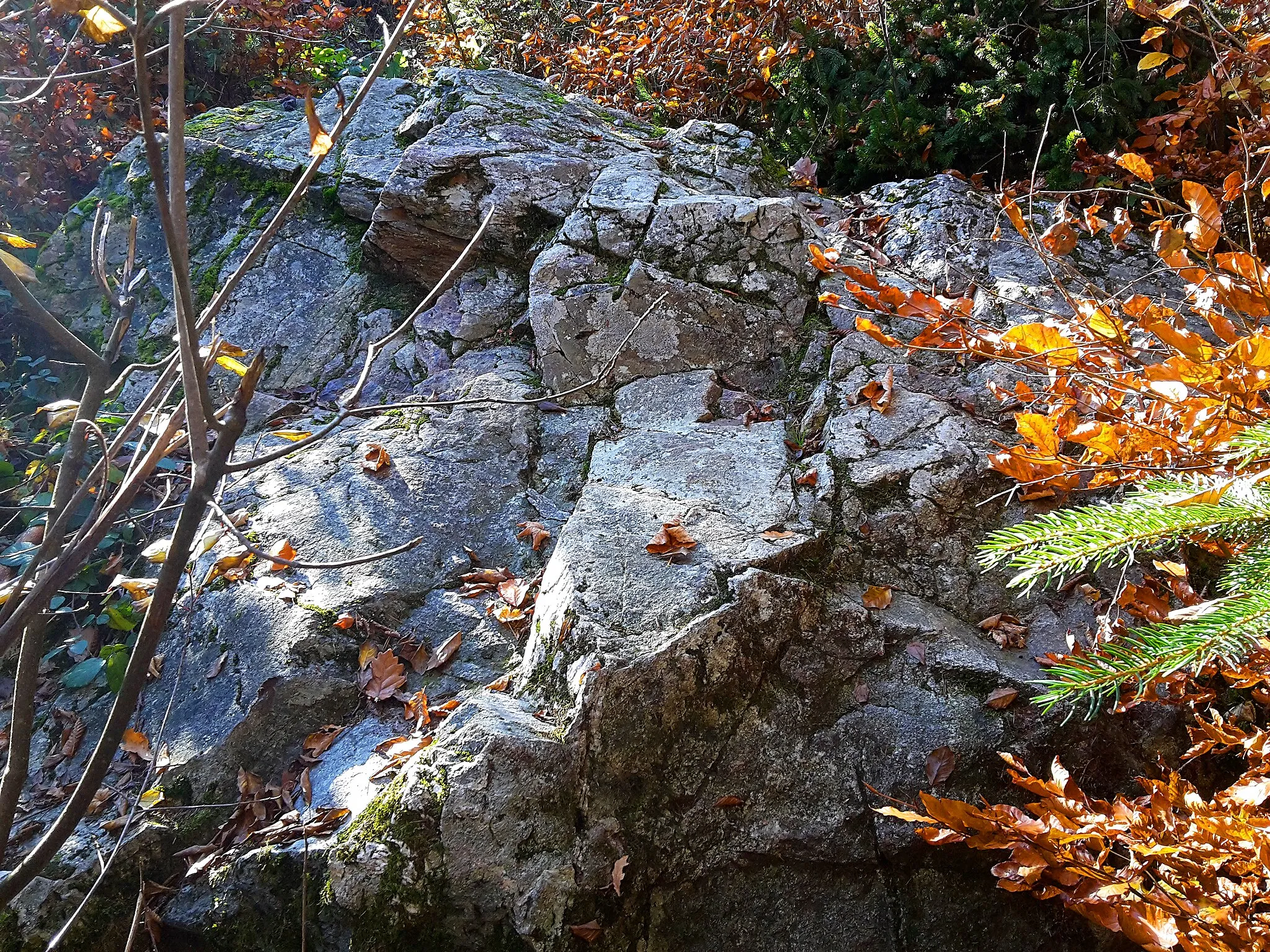 Photo showing: Glacial erratic near Taumoos, Niederrohrdorf, Switzerland