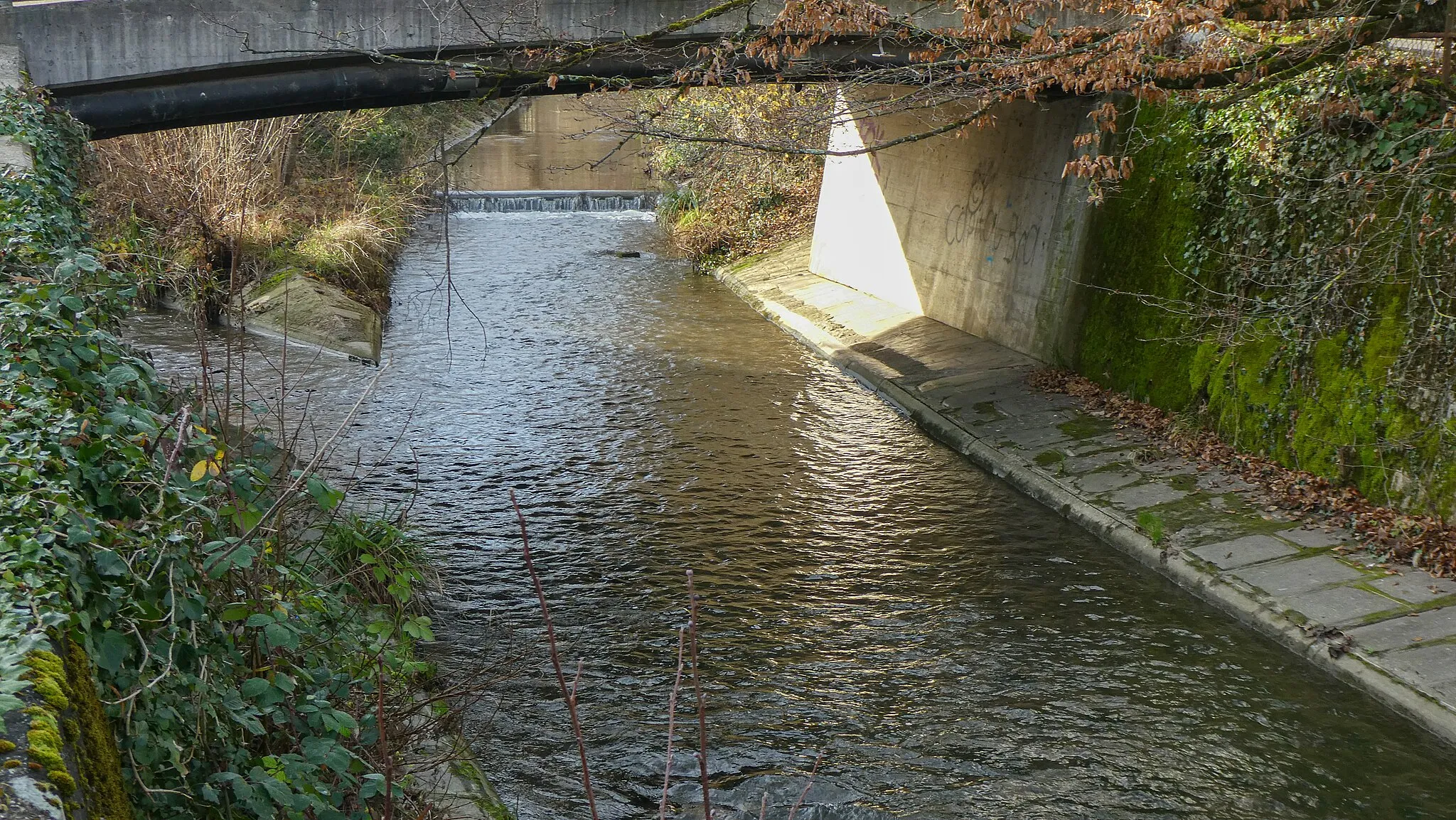 Photo showing: Mouth of the Marchbach (left) into the Birsig (right) in Oberwil