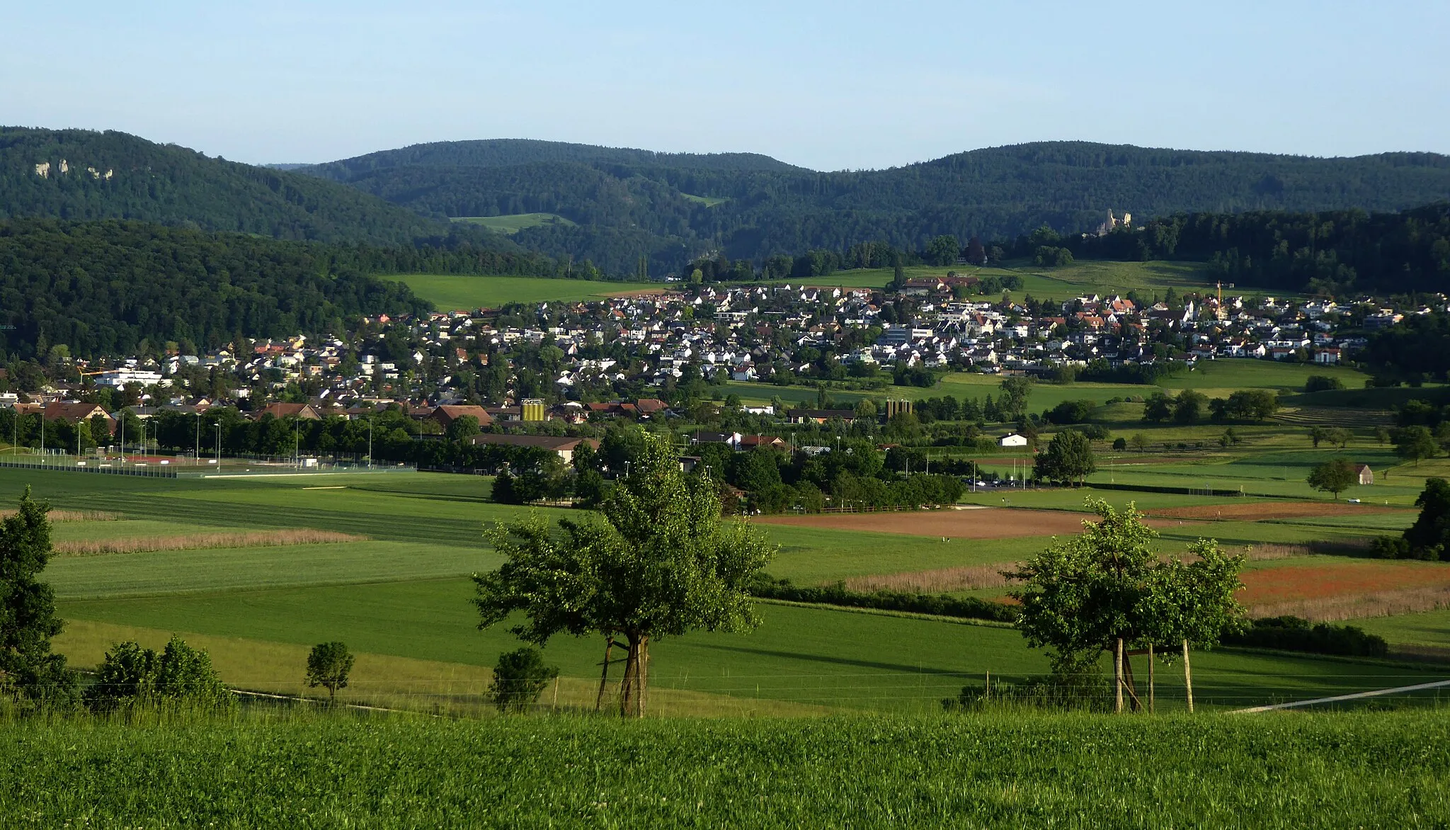 Photo showing: Panorama. Pfeffingen, Basel-Landschaft