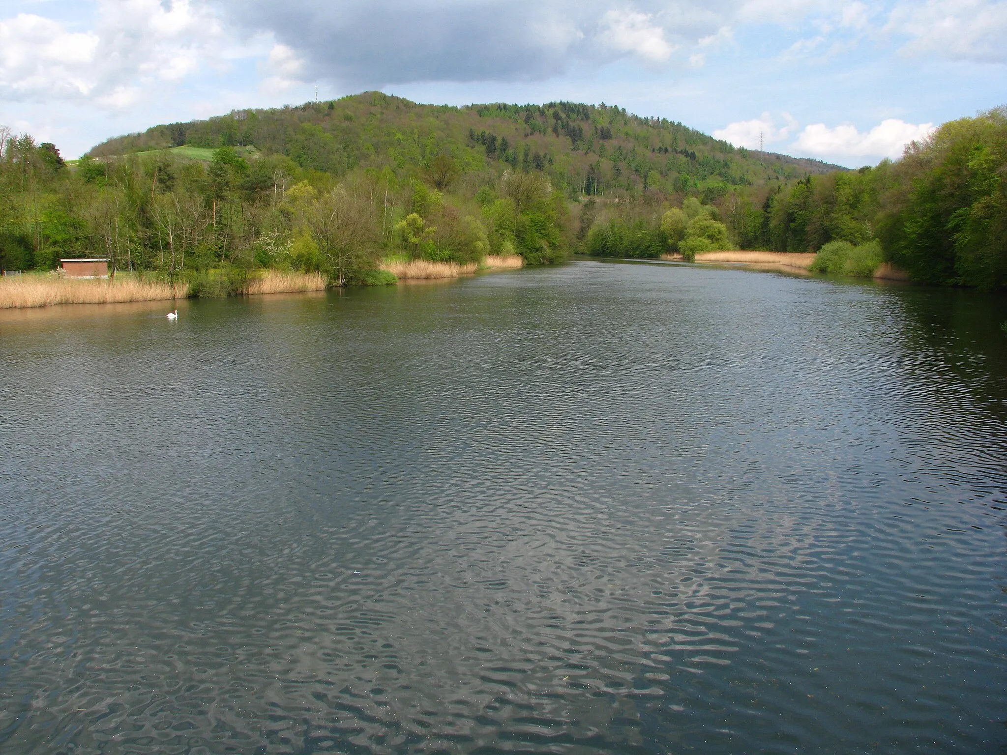 Photo showing: Limmat in Würenlos (AG)