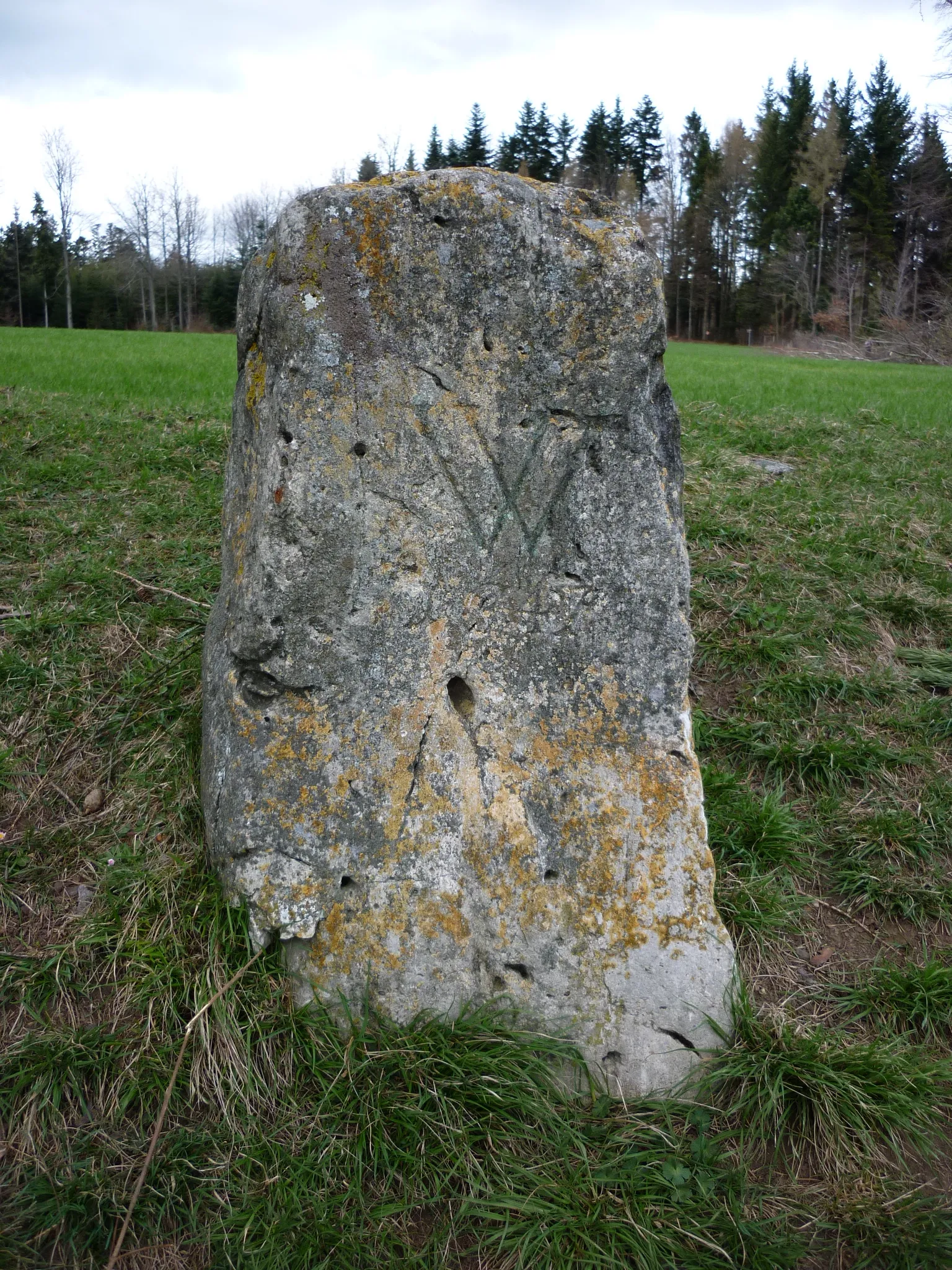 Photo showing: Border stone, Bronschhofen and Wil SG, Switzerland