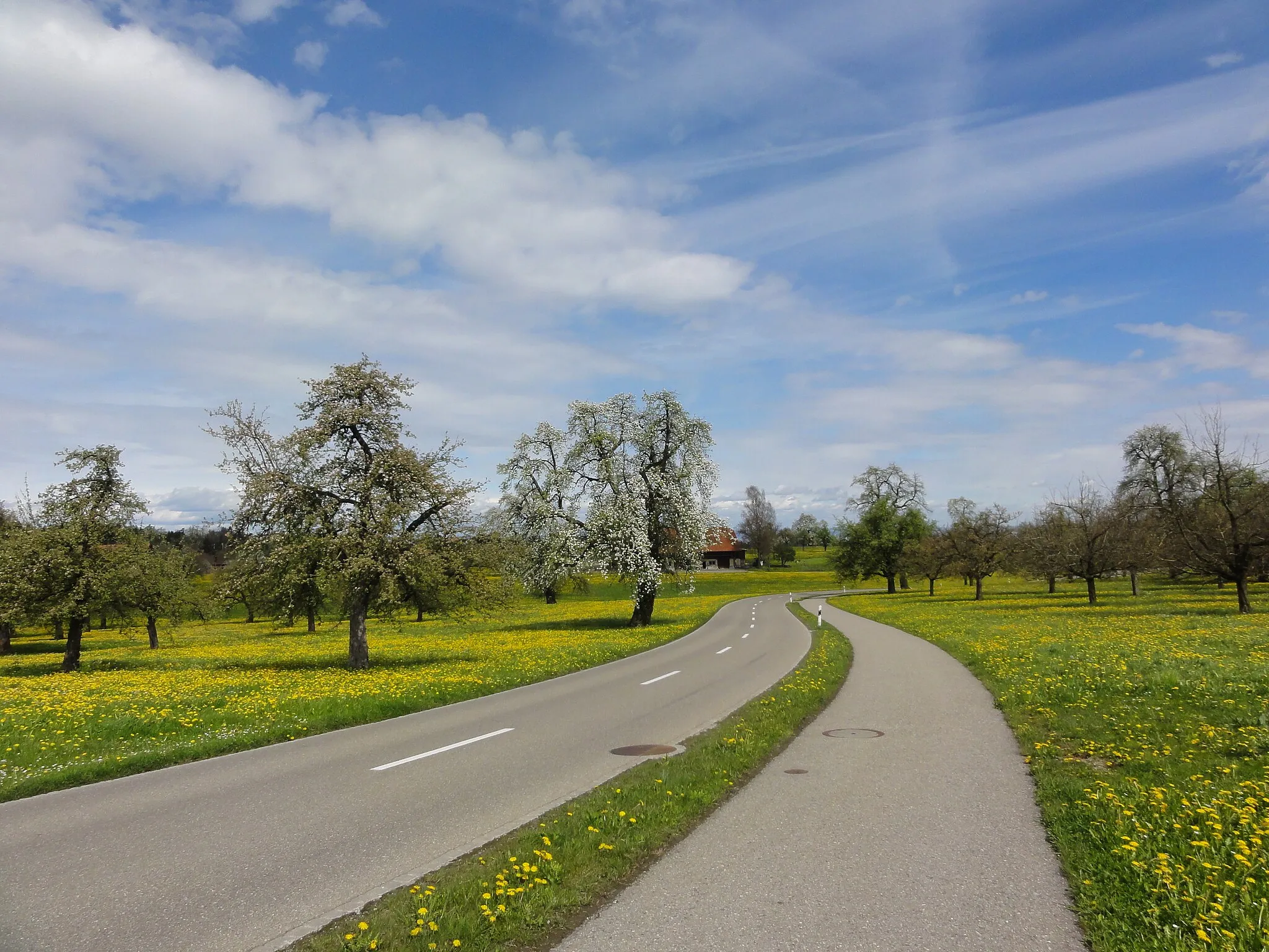 Afbeelding van Ostschweiz