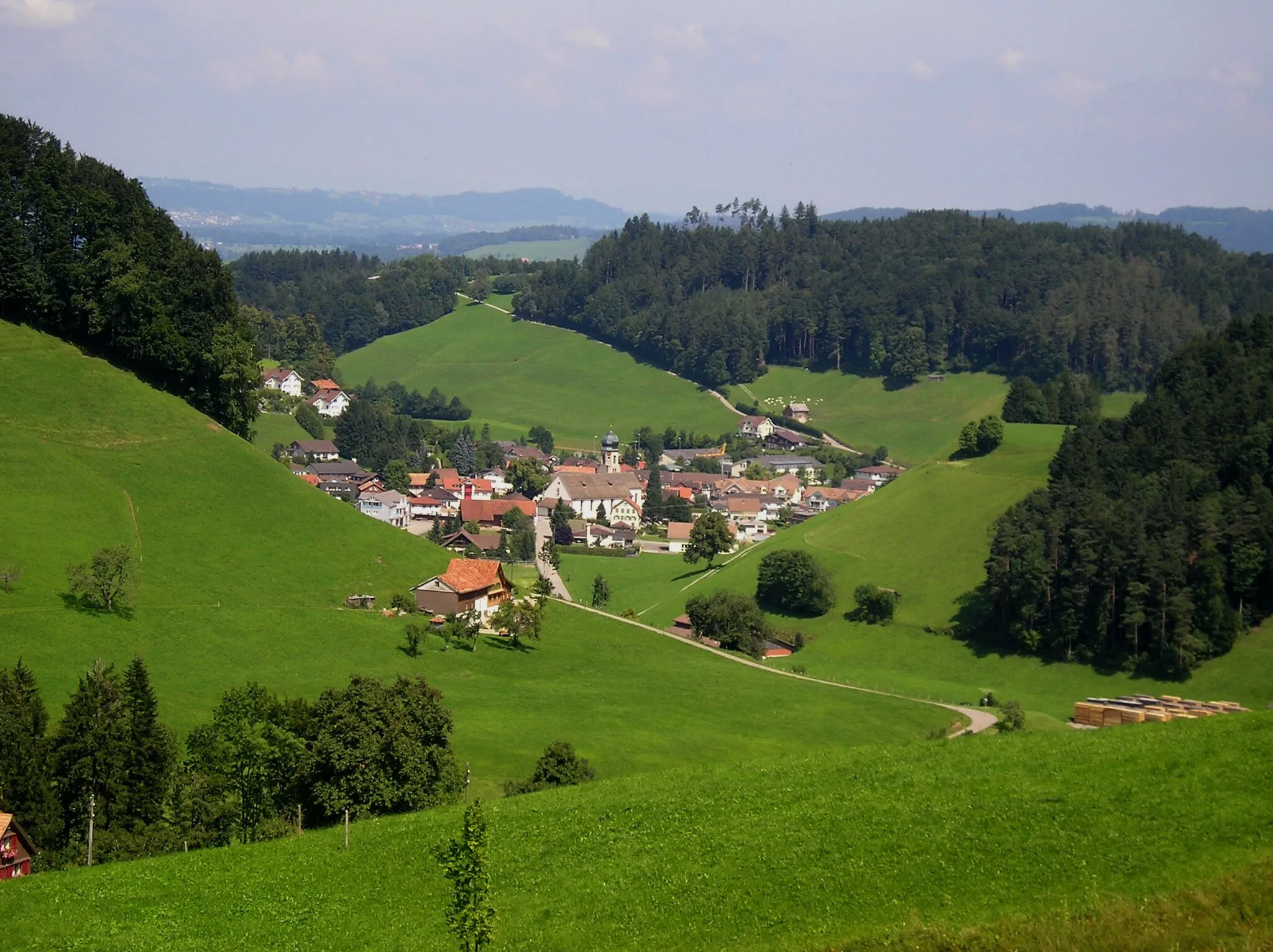 Photo showing: Blick auf das Dorf Mosnang vom Evasberg