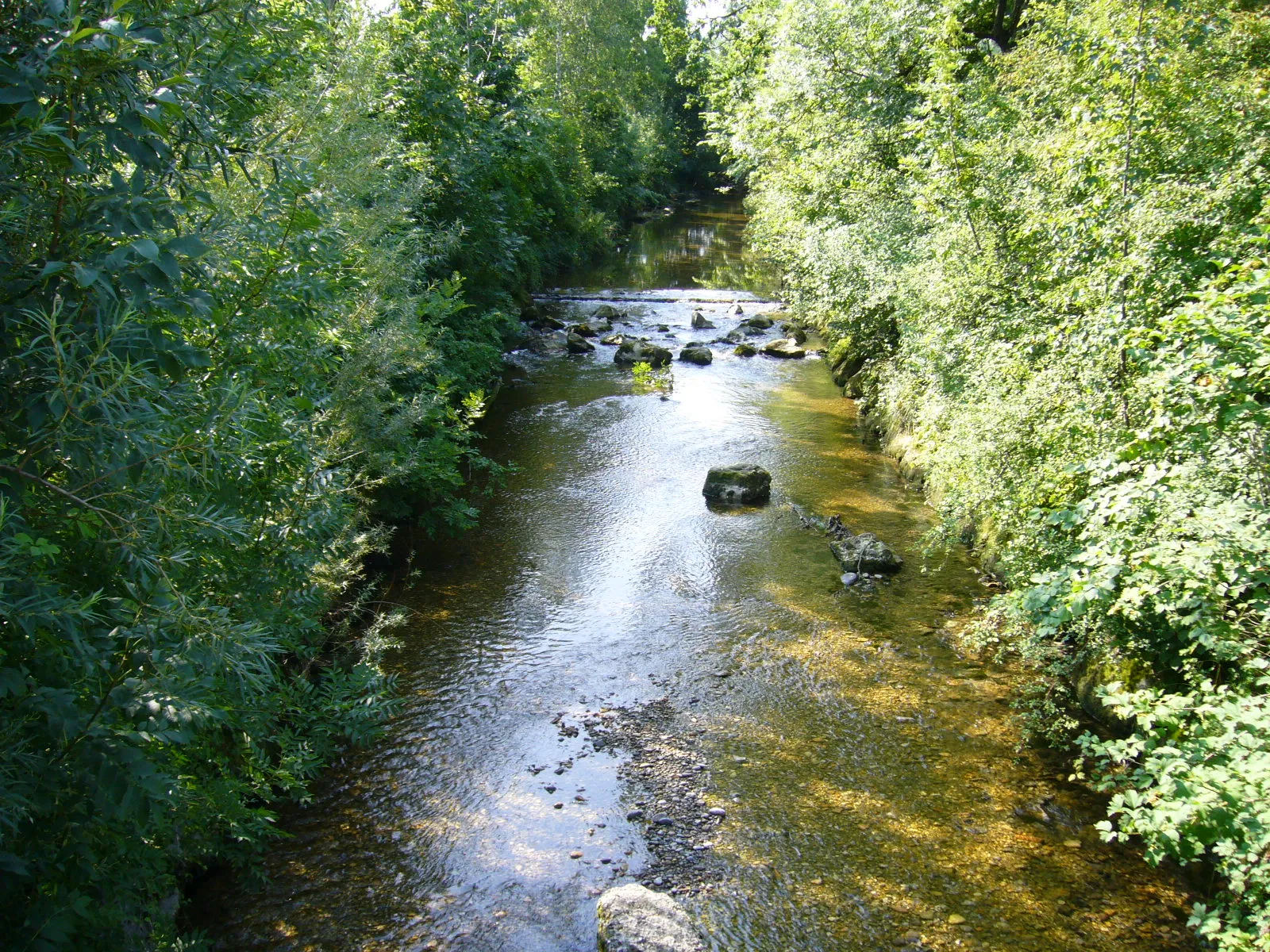 Photo showing: The river Murg near Münchwilen, canton of Thurgau, Switzerland. Picture taken by Peter Berger, July 23, 2006.