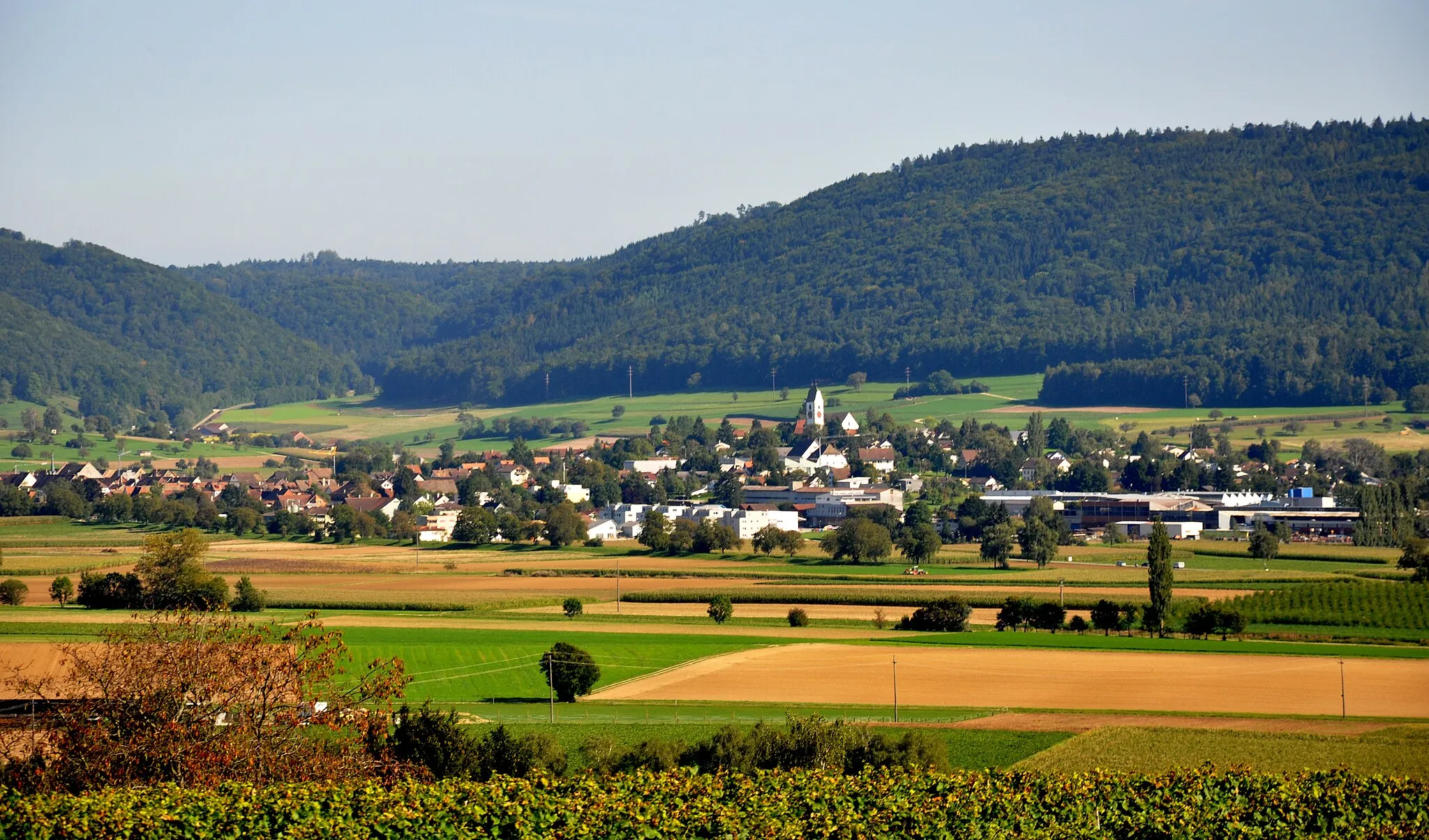 Photo showing: Blick von der Bergkirche Hallau