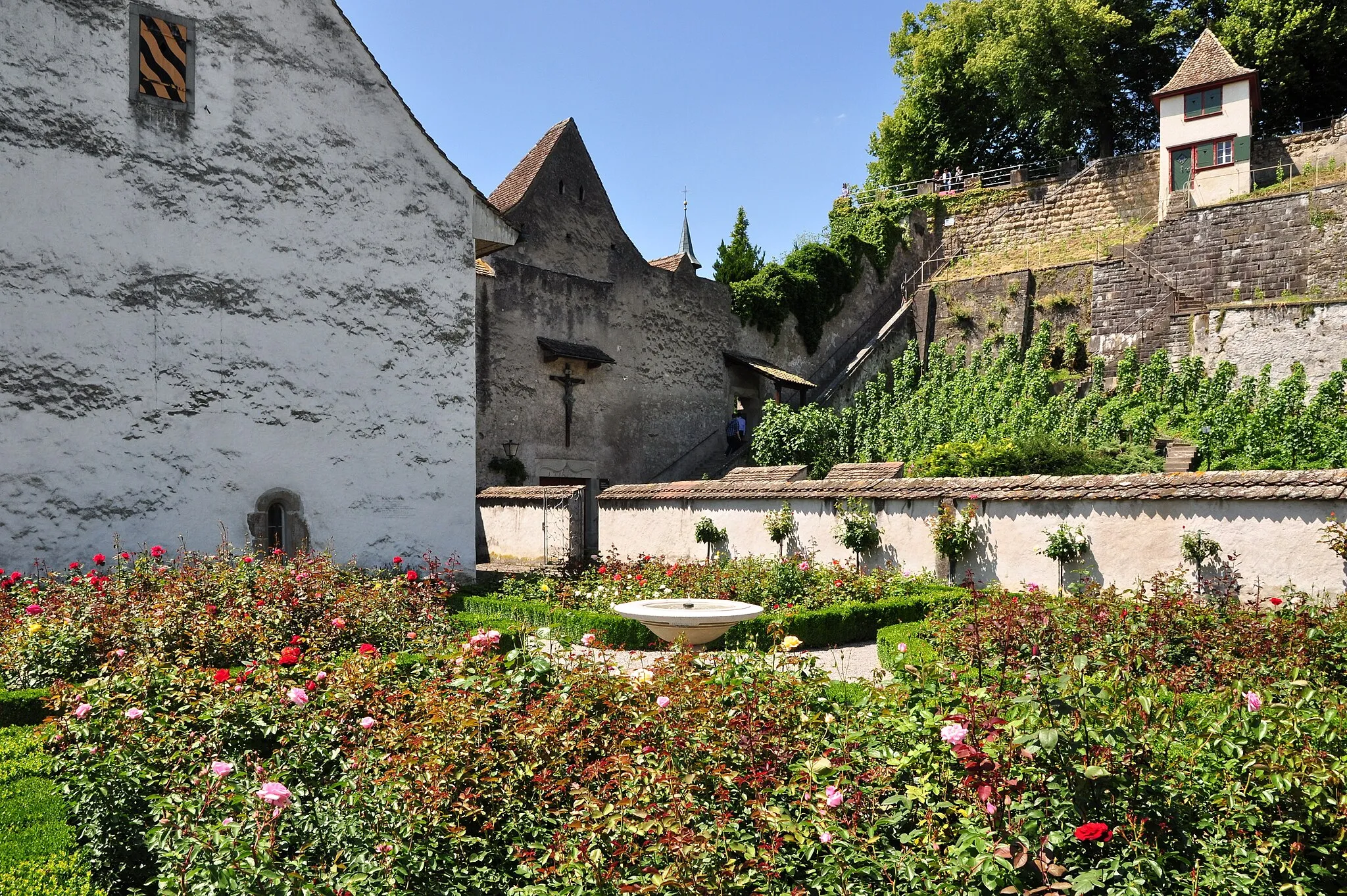 Photo showing: Rosengarten in Rapperswil (Switzerland) at the so-called Einsiedlerhaus building, Schlossberg vineyard and Lindenhof hill in the background, Endinger tower respectively Kapuzinerkloster to the left.