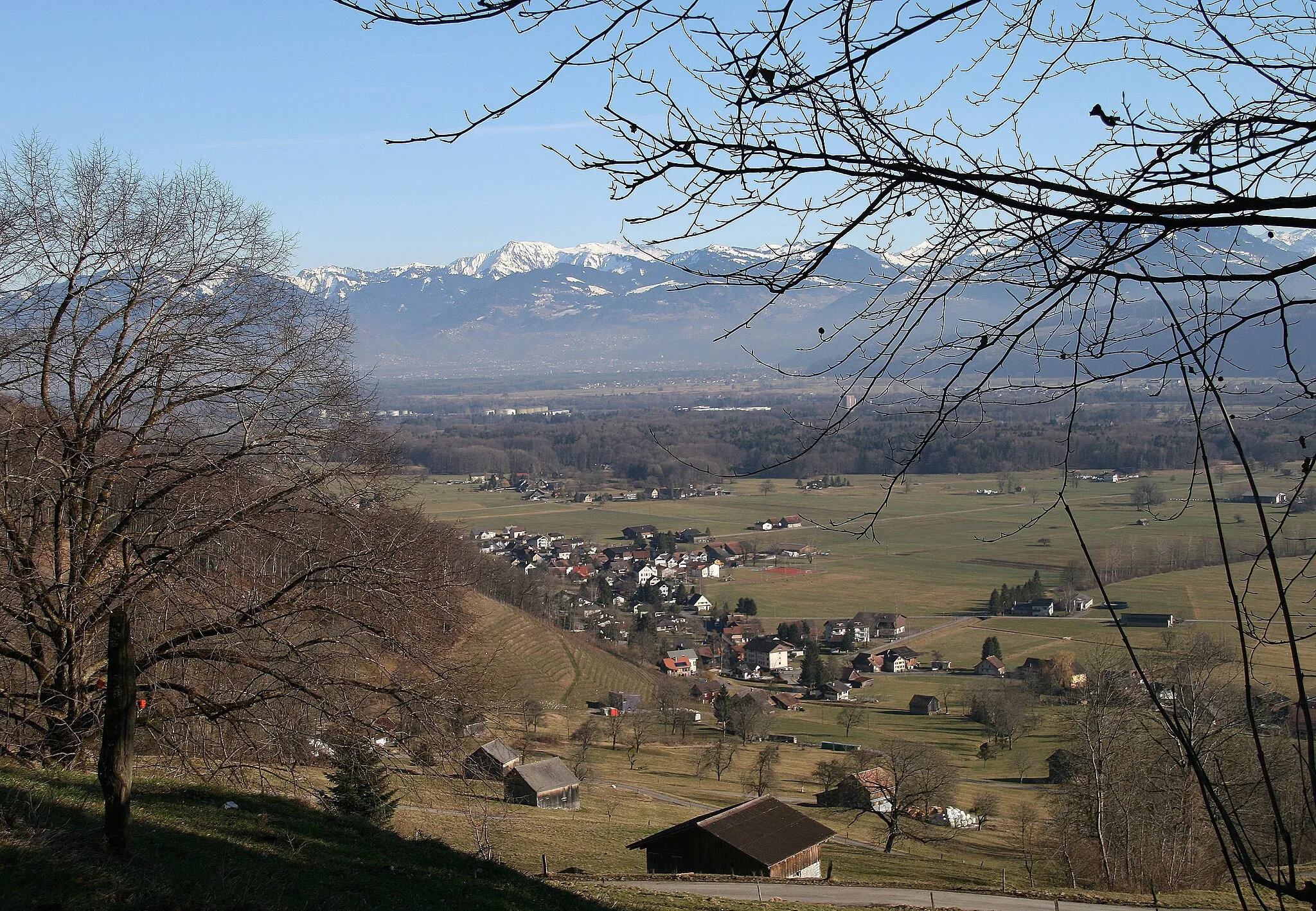 Photo showing: Blick vom "Trübliweg" auf Frümsen im Rheintal;  Im Hintergrund der Hohe Freschen im Bregenzerwaldgebirge.