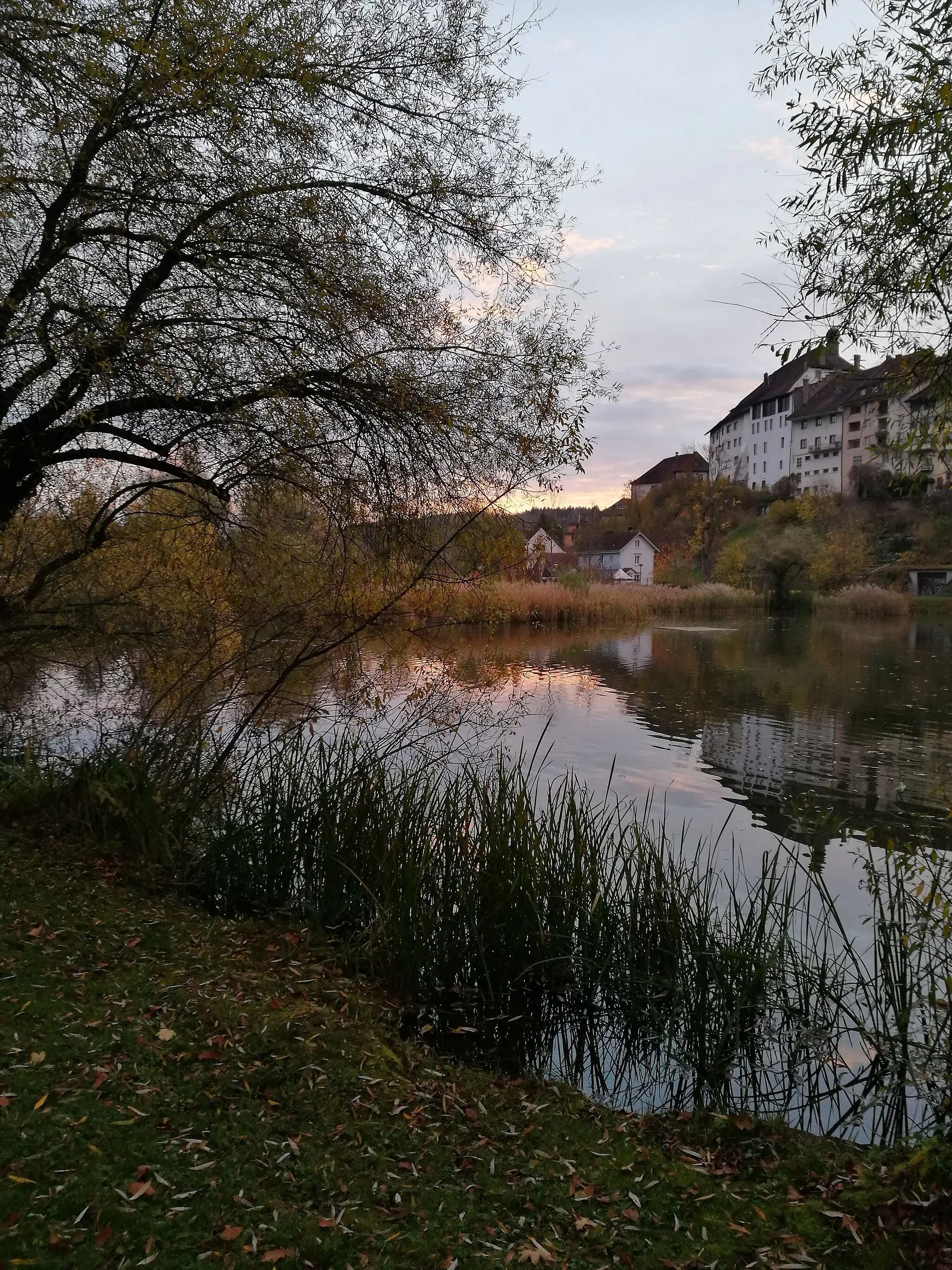 Photo showing: Autumn sunrise at the lake of Wil
