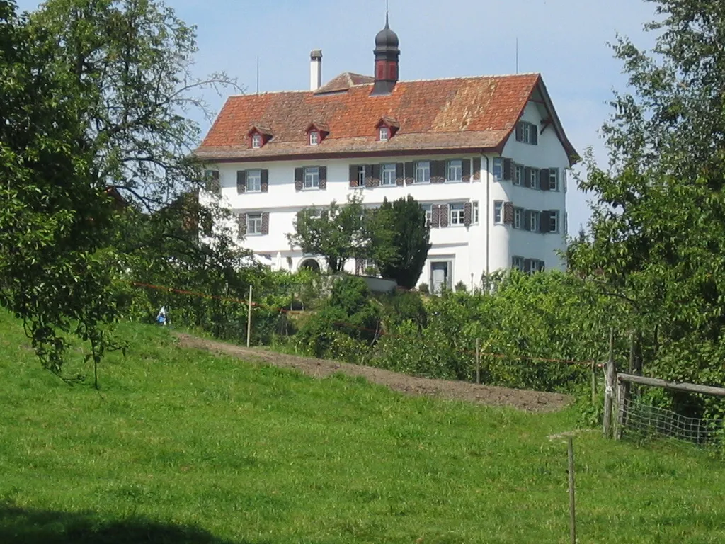 Photo showing: Schloss Dottenwil im Sommer