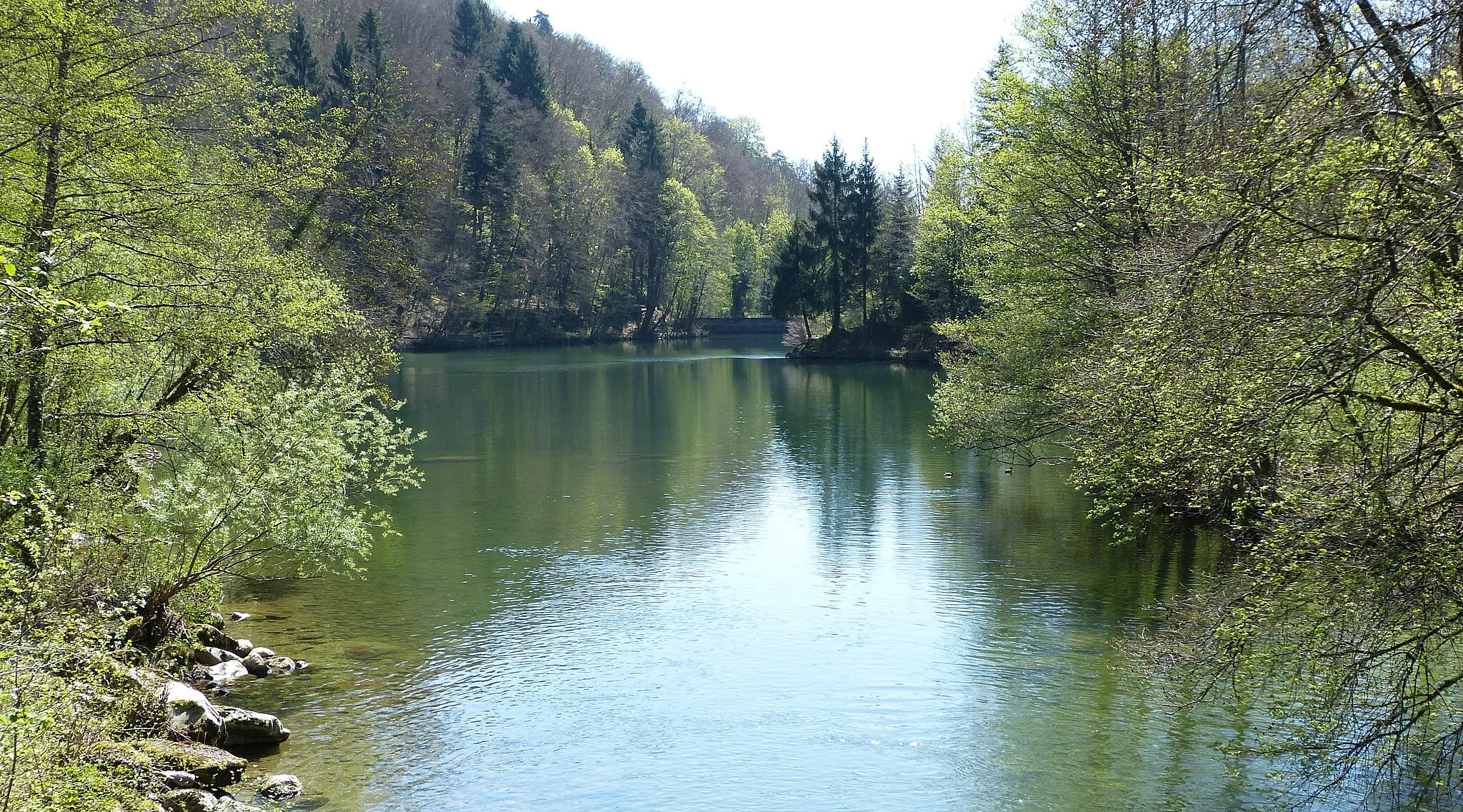 Photo showing: Parc Jura vaudois, Plan-Dessous Lake dammed on the Aubonne River