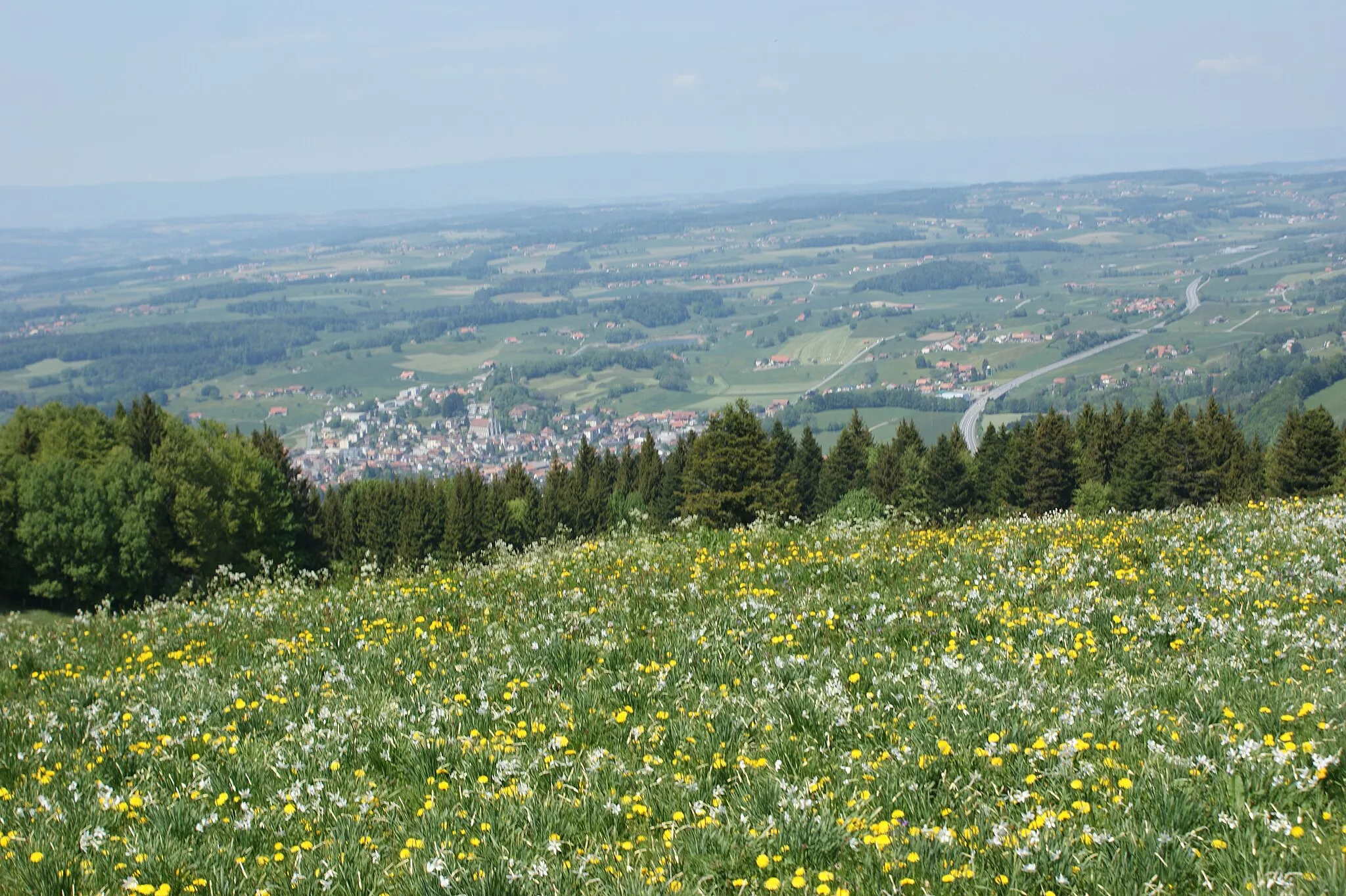 Photo showing: Châtel-Saint-Denis von Les Pléiades aus gesehen