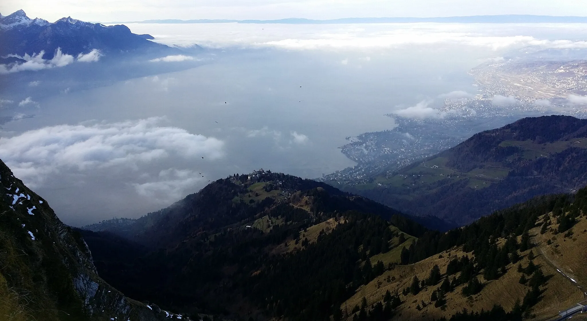 Photo showing: Lake Geneva as seen from Rochers de Naye