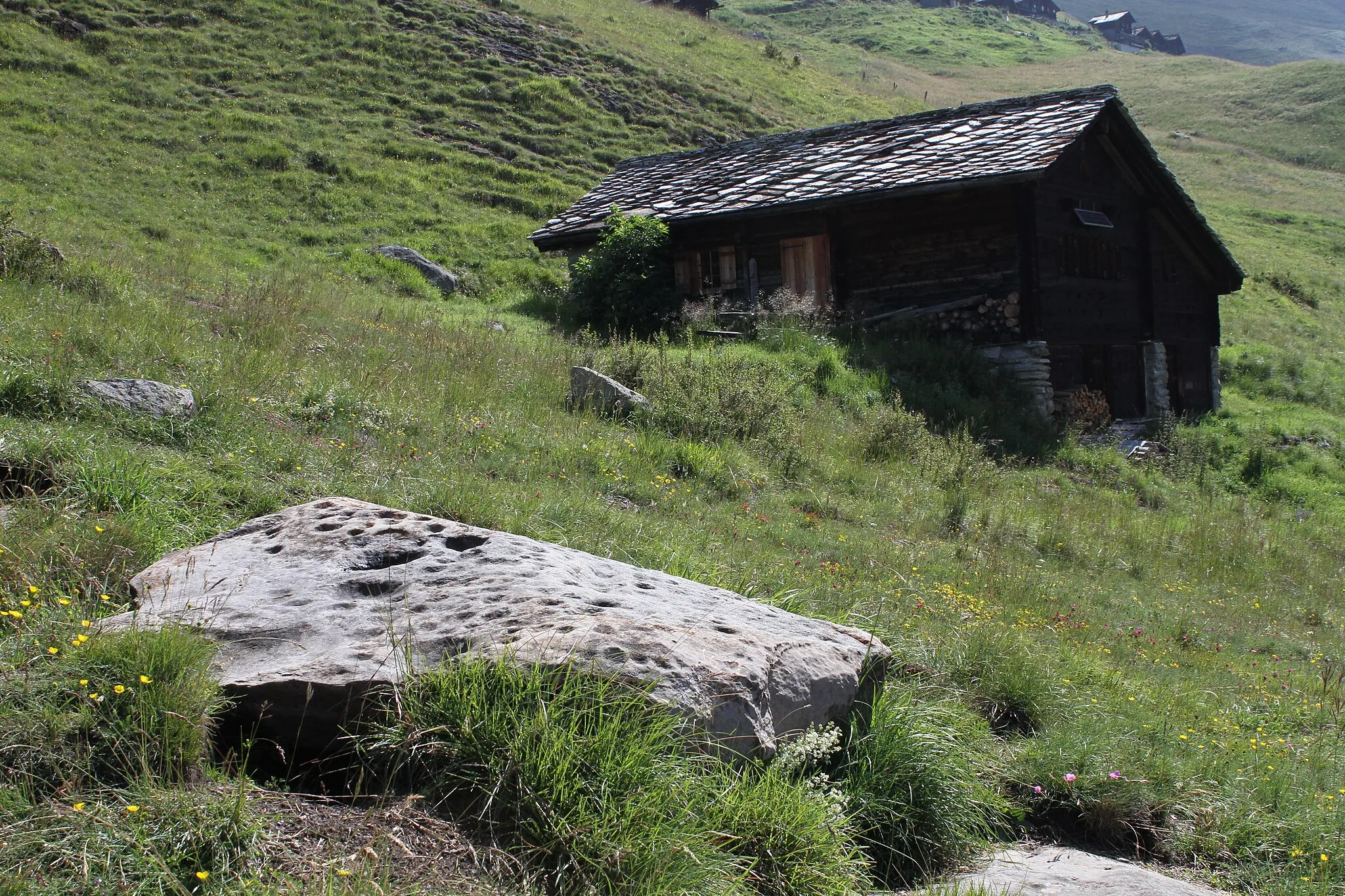 Photo showing: Pierre aux immolés, avec plus de 240 cupules, situées à Cotter, au dessus d'Evolène, dans le Val d'Hérens, dans le canton du Valais, en Suisse.