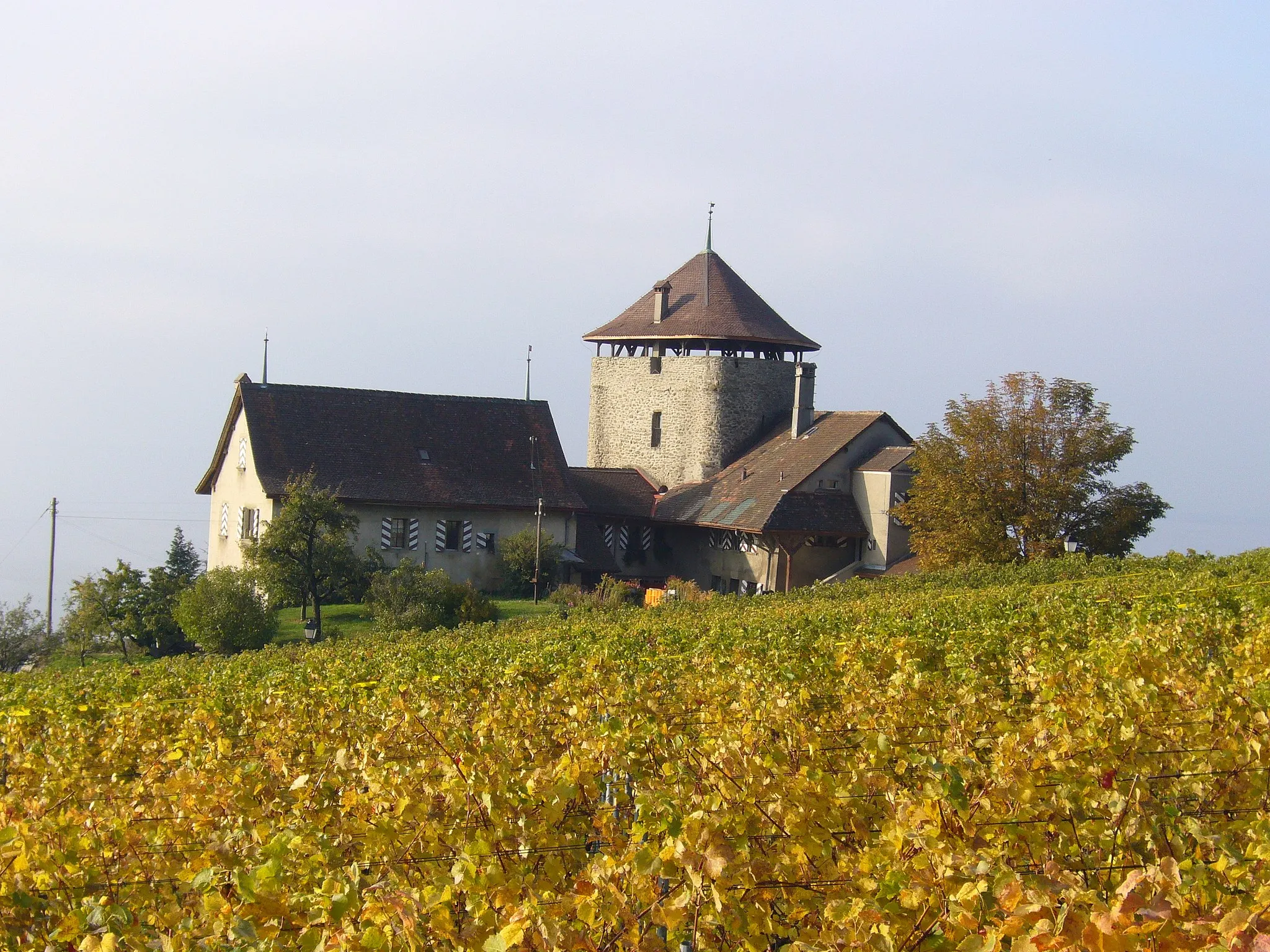 Photo showing: Bertholod-Turm in Lutry, Kanton Waadt