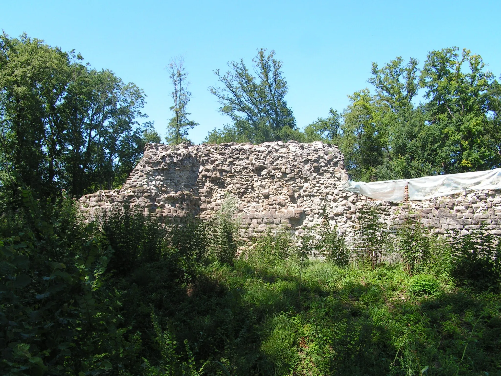Photo showing: Ruines du Château de Rouelbeau