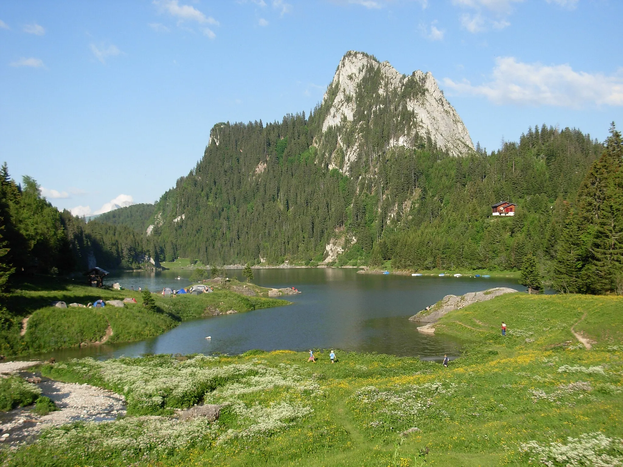 Photo showing: Le Lac de Taney avec le Tâche (alt. 1693 m). Juin 2008.