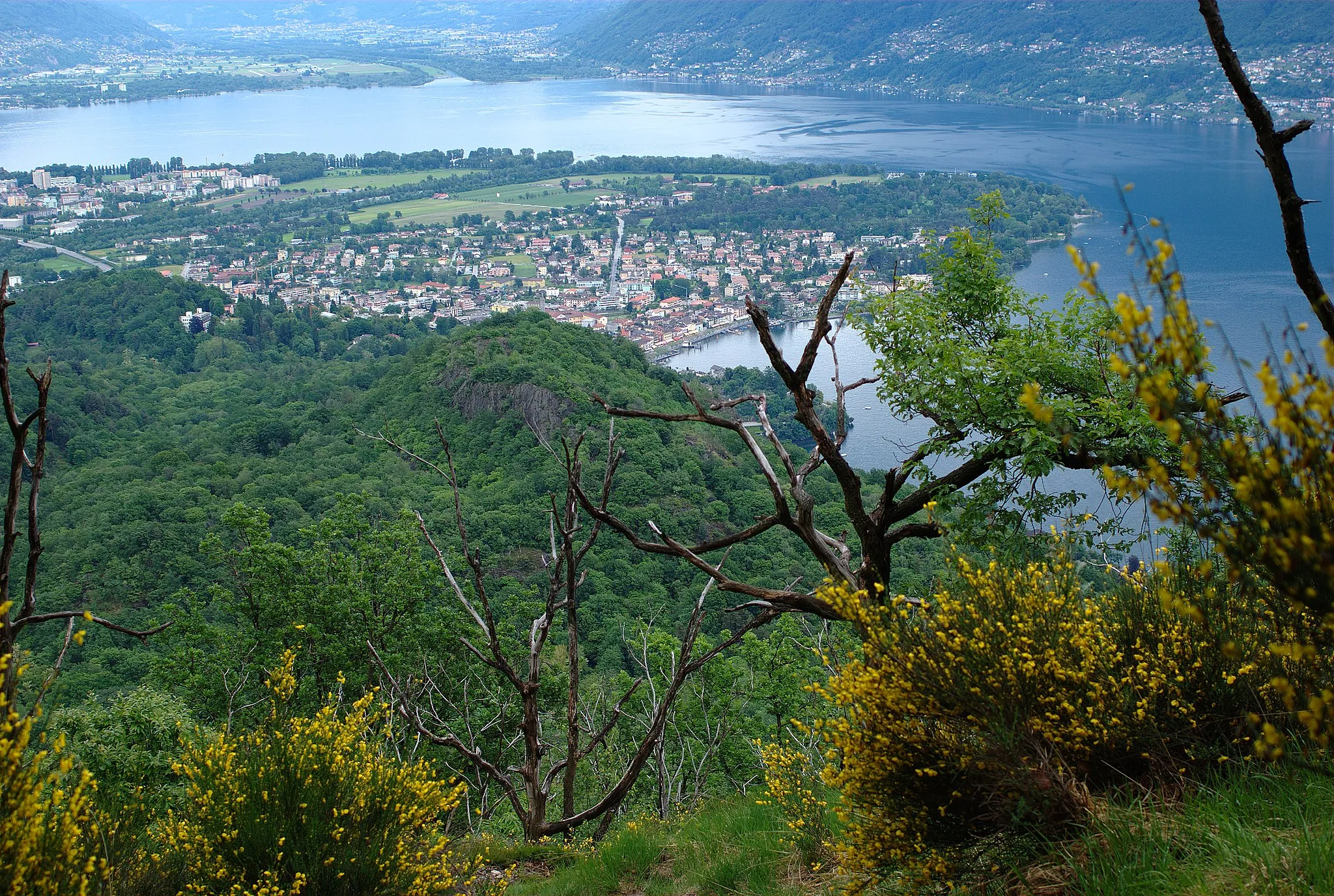 Photo showing: View of Lago Maggiore. Foreground (l-r) Locarno, Ascona. Background (l-r) Tenero-Contra, Gordola, Gambarogno