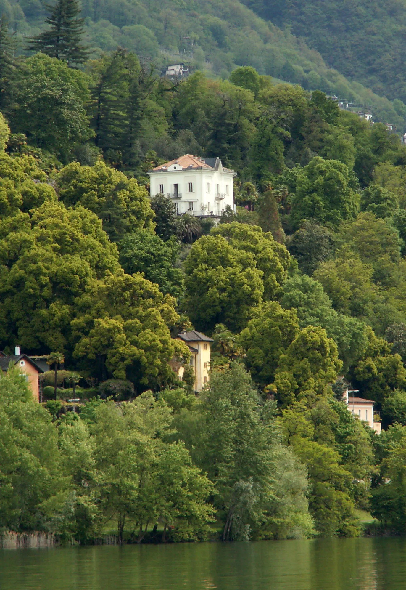 Imagen de Ticino