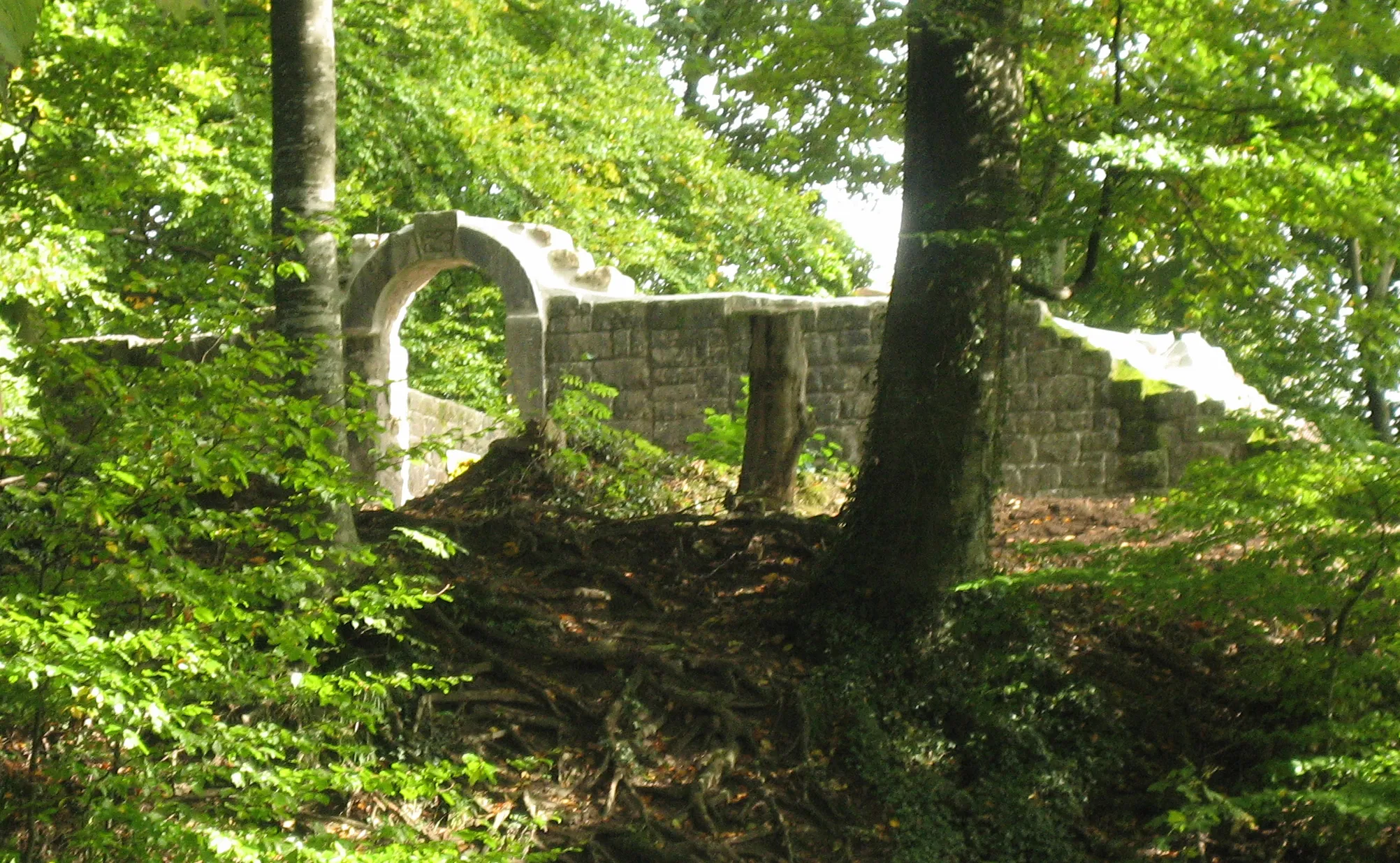 Photo showing: Burg Hünenberg, Zug, Schweiz