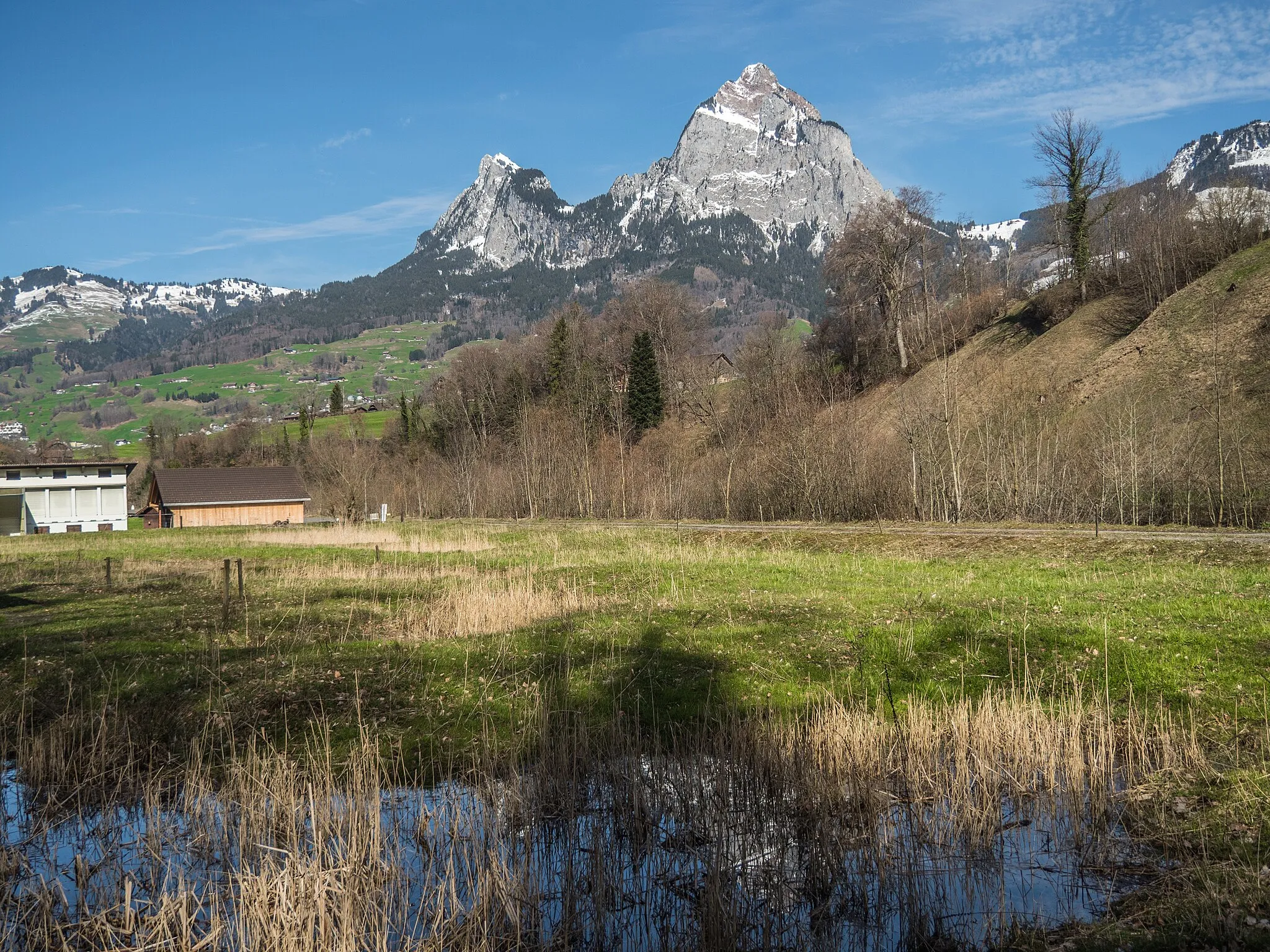 Photo showing: Hinter Ibach Amphibian Spawning Area, Schwyz, Canton of Schwyz, Switzerland
