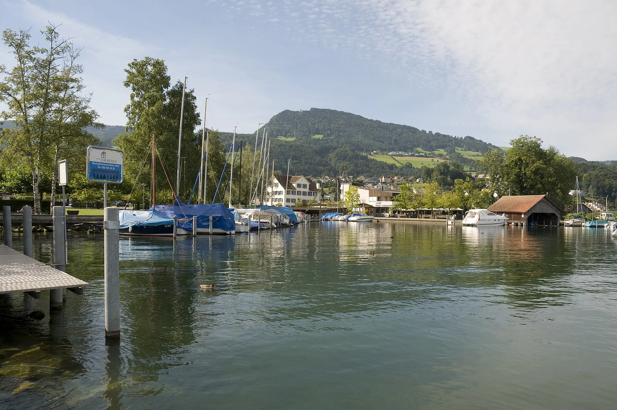 Photo showing: Lake Zurich in Pfäffikon SZ
