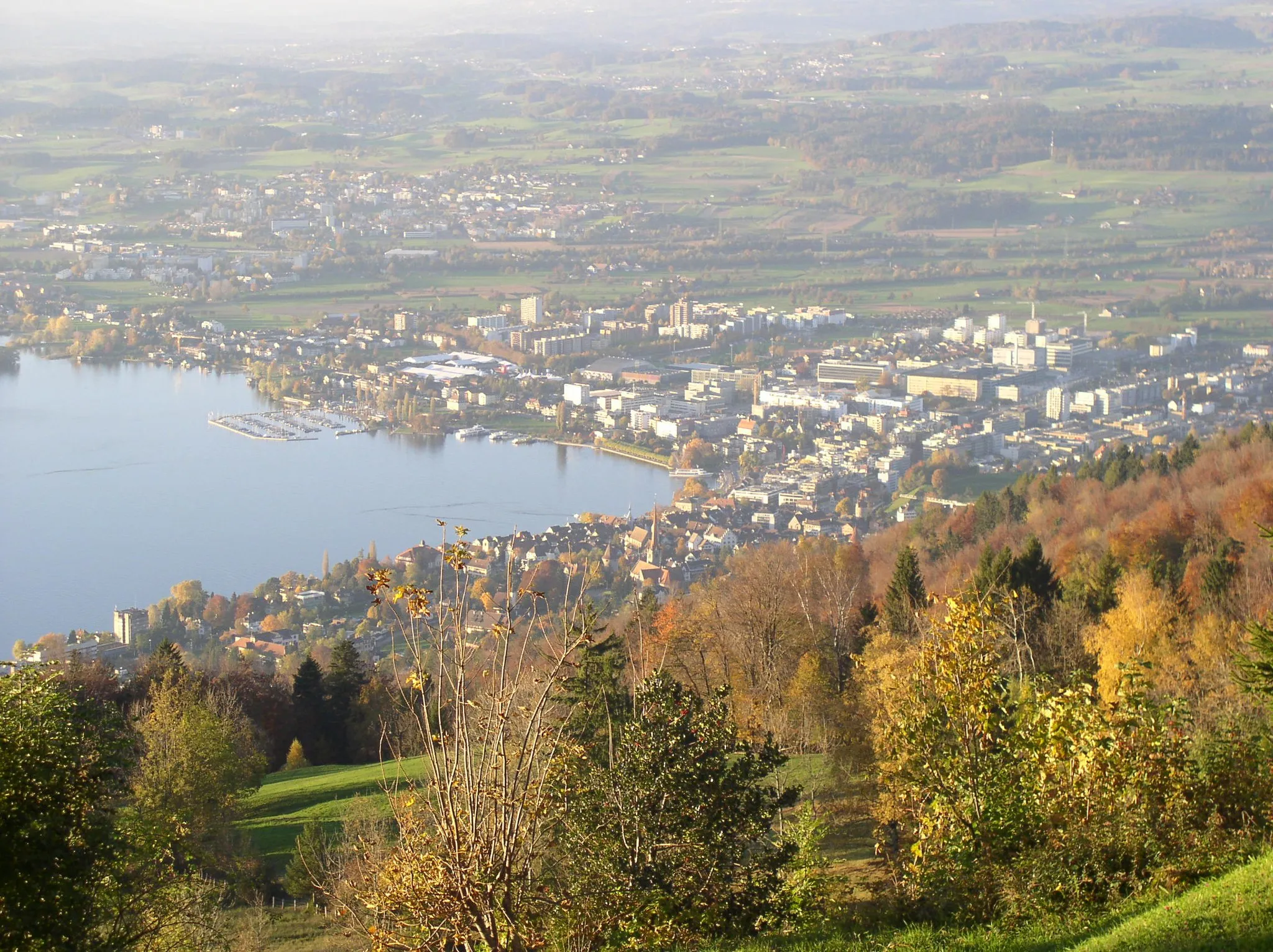 Bild von Zug