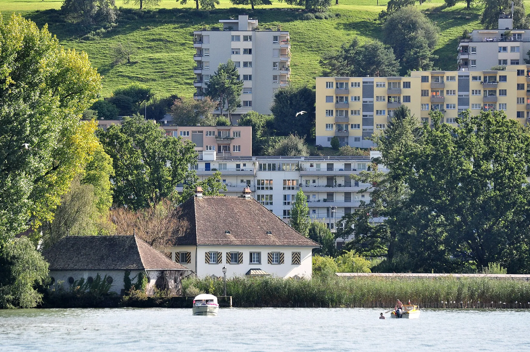 Photo showing: Au peninsula and Werdmüller estate in Au (Switzerland) as seen from ZSG paddle steamship Stadt Rapperswil on Zürichsee