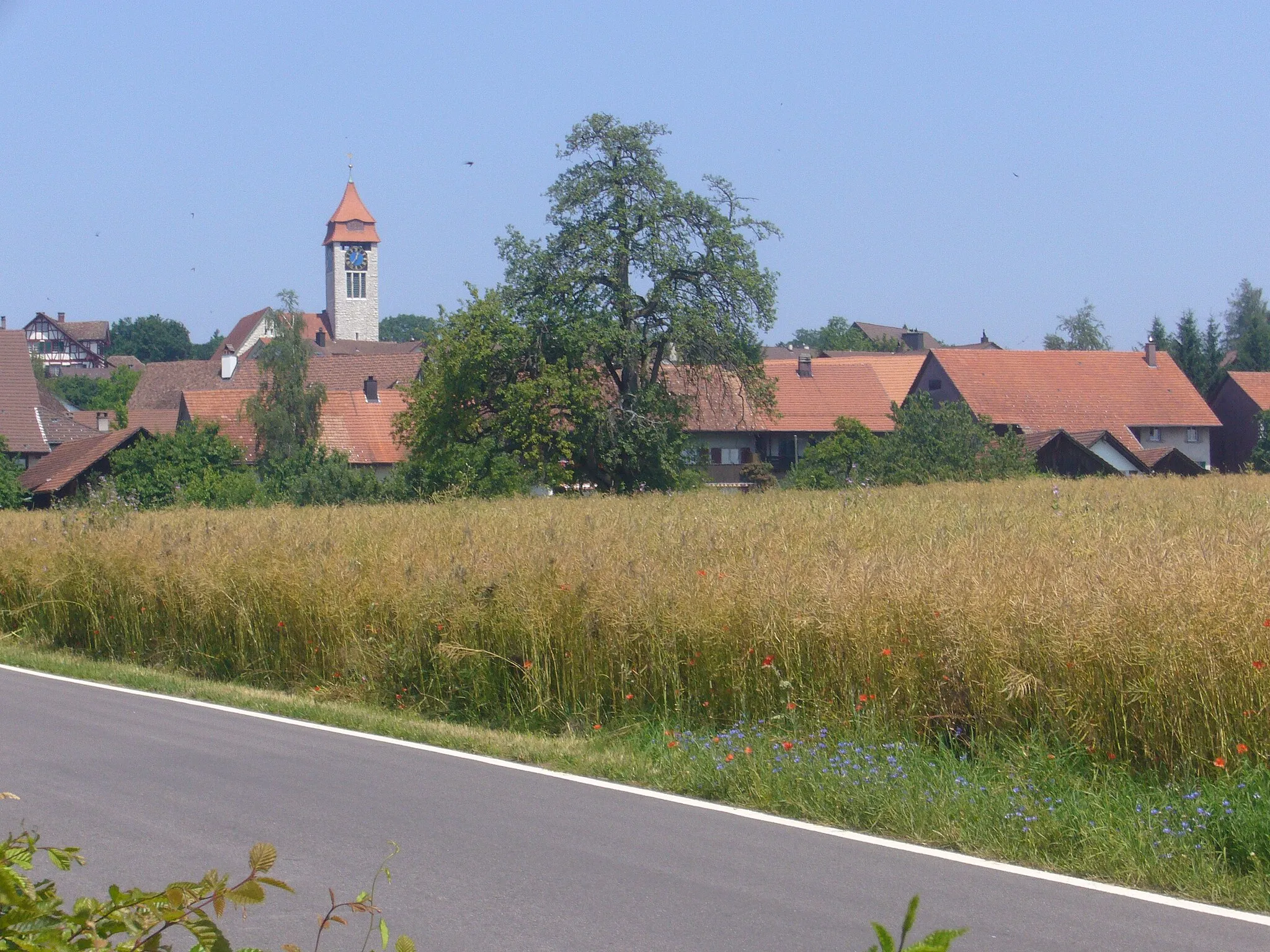Photo showing: Brütten vom südlichen Dorfeingang her gesehen.
