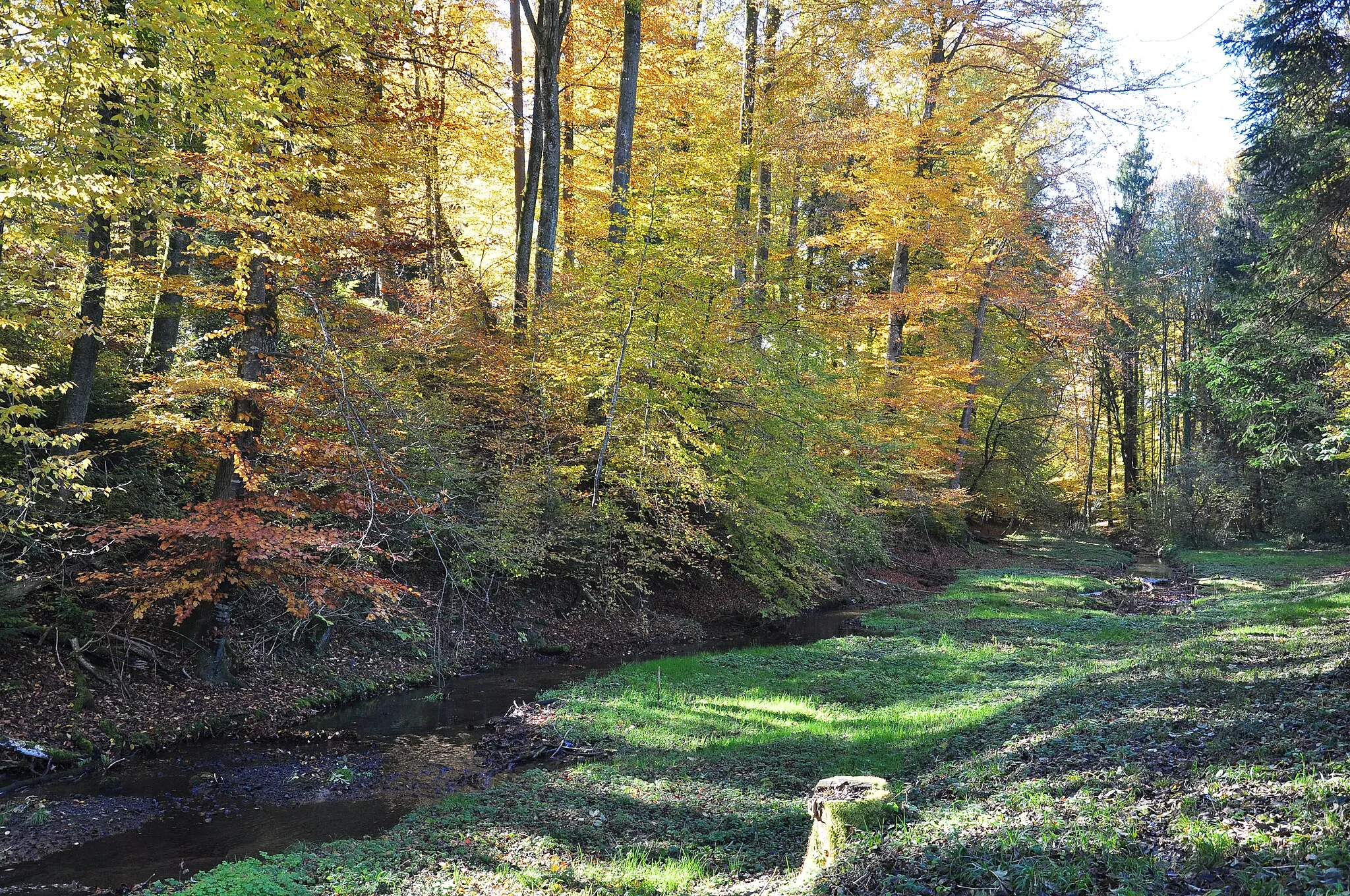 Photo showing: Giessenbach in Bubikon (Switzerland)