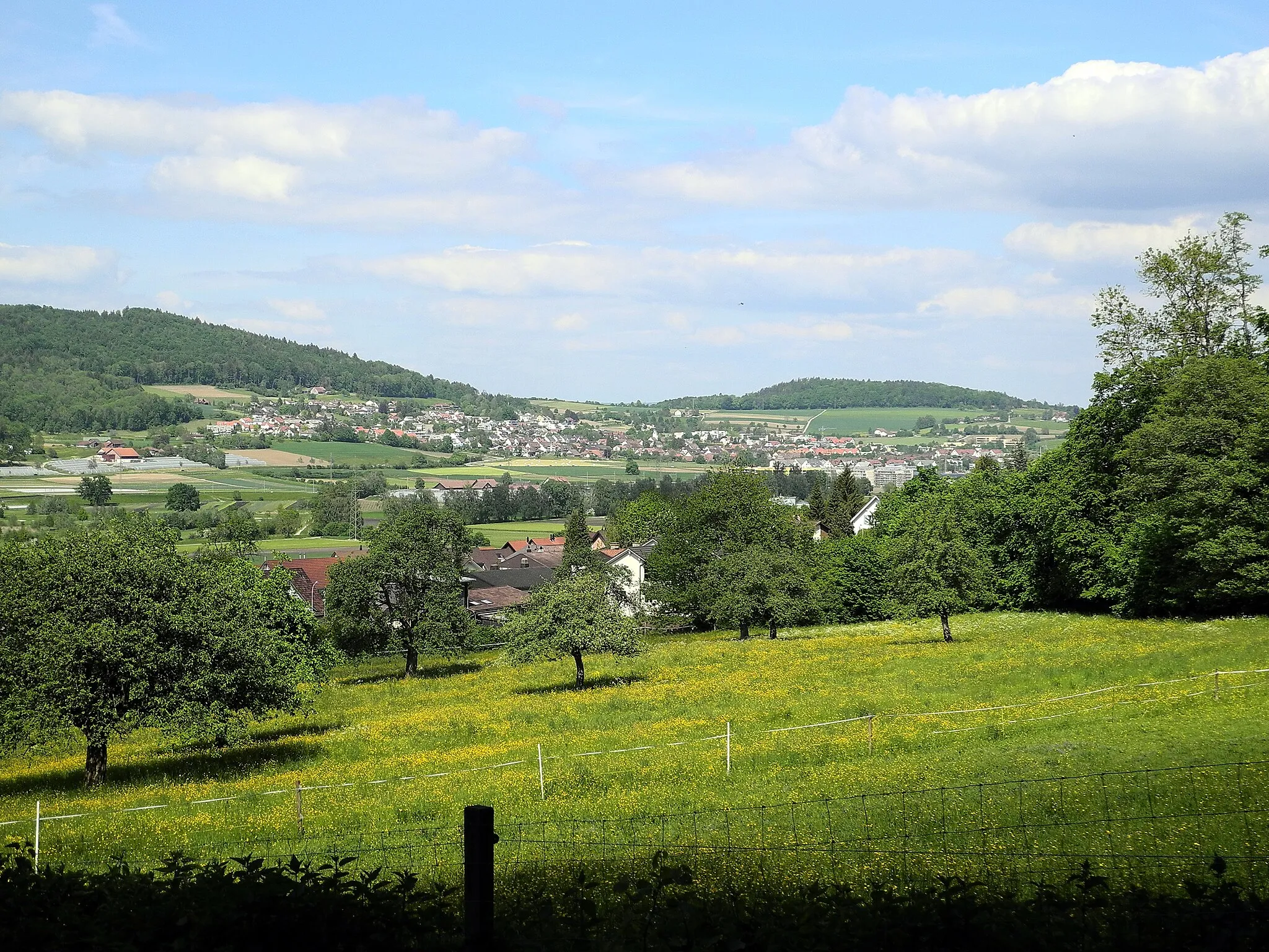 Photo showing: Buchs, Lägern, Dänikon (Switzerland)