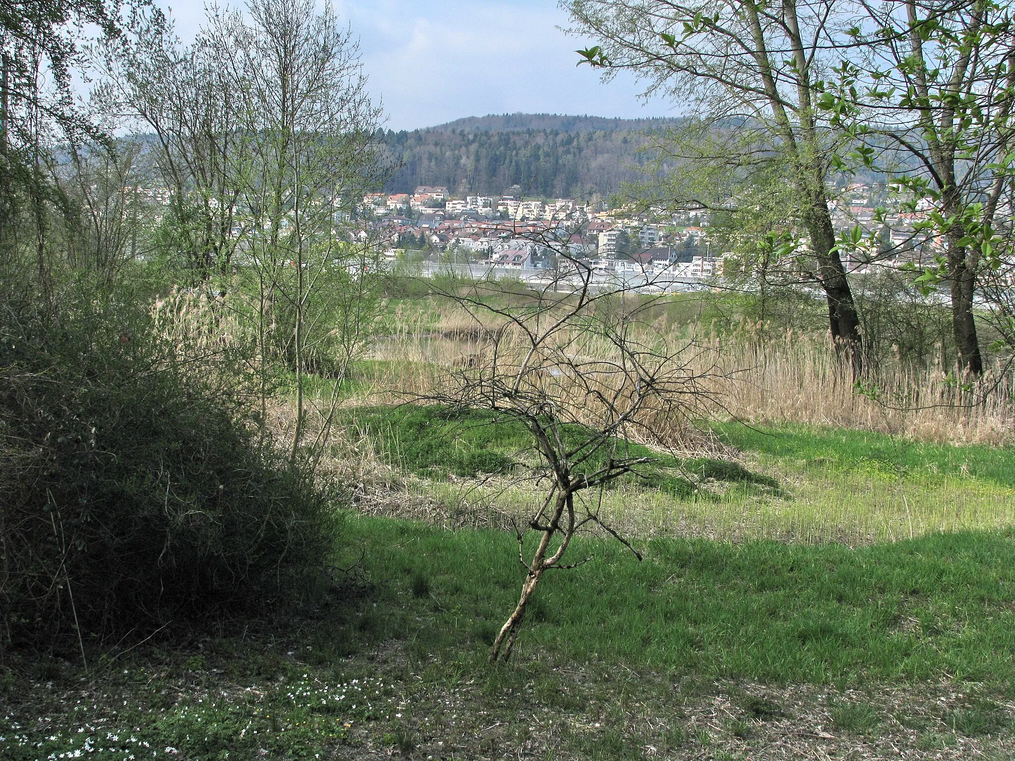 Photo showing: Auen (Limmattal) in Geroldswil