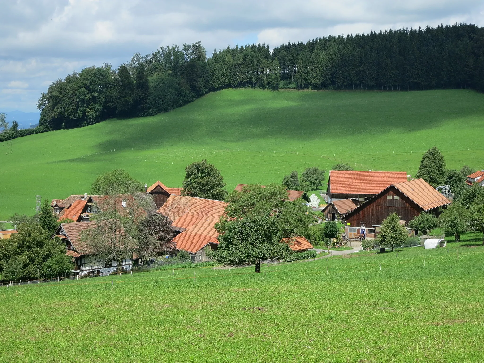 Photo showing: Ober Albis, Hausen am Albis ZH, Schweiz