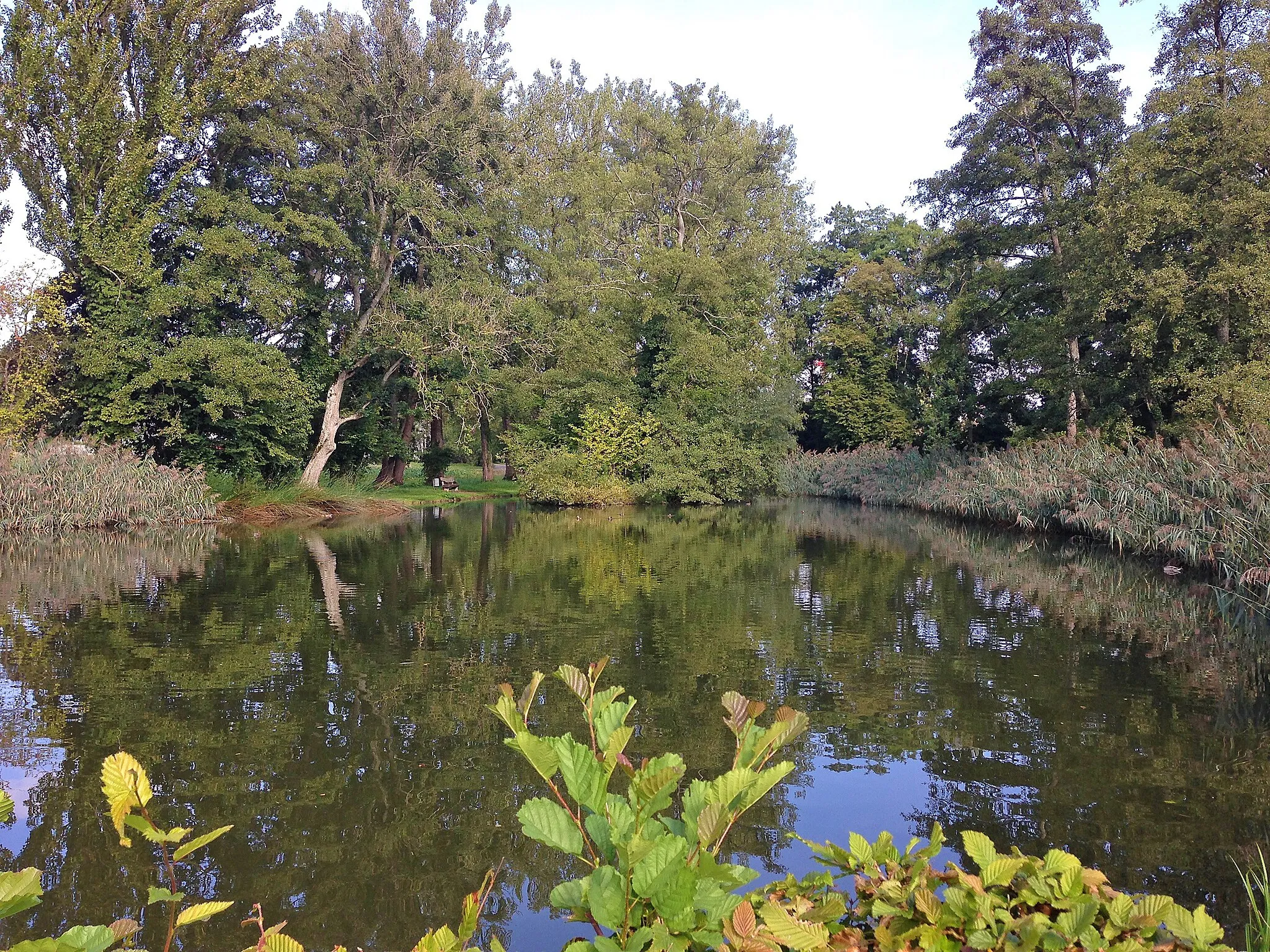 Photo showing: Oeliweiher Marthalen