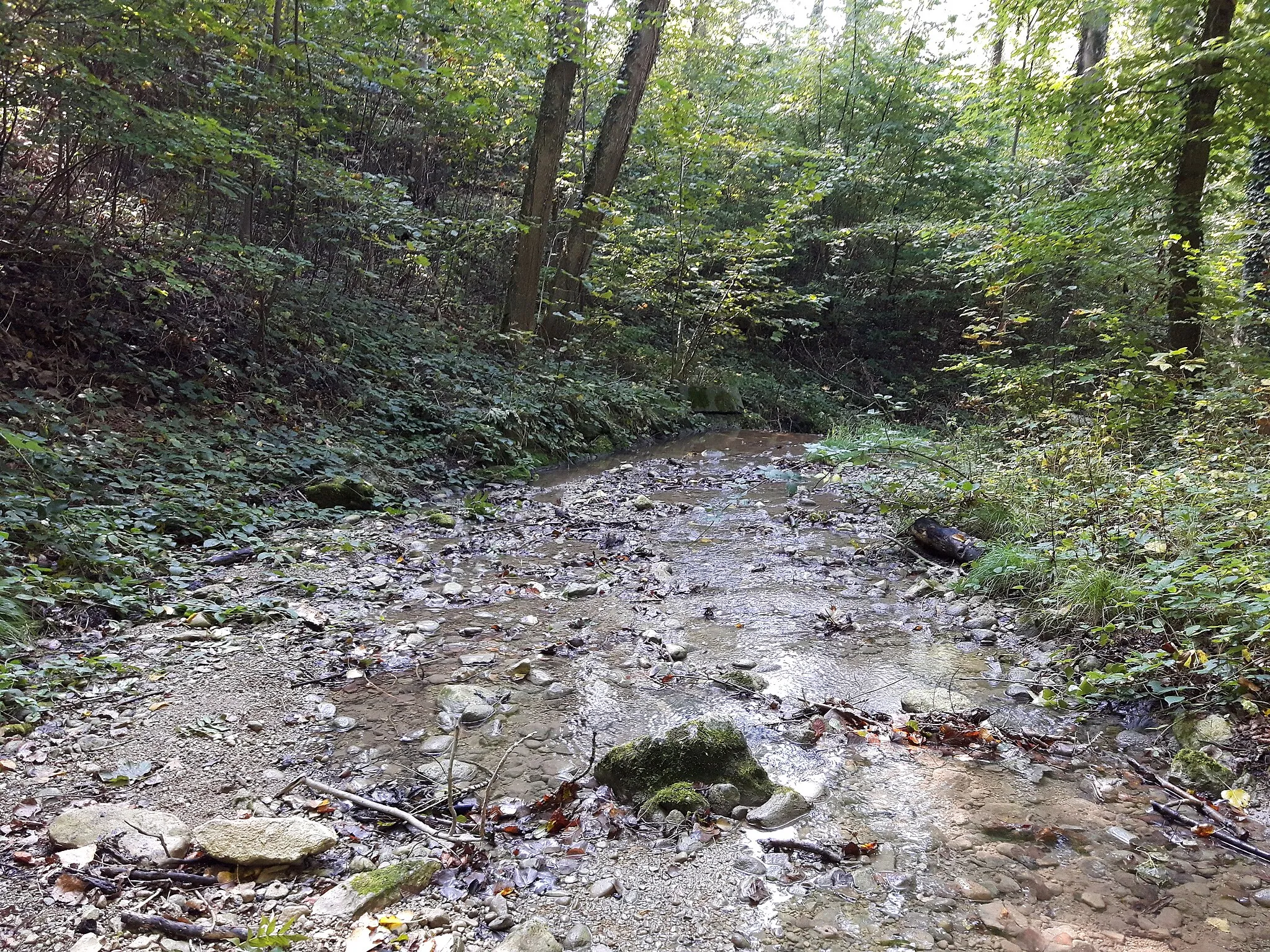 Photo showing: Der Fürtlibach nach der Einmündung des Lochholzbachs, Oberengstringen