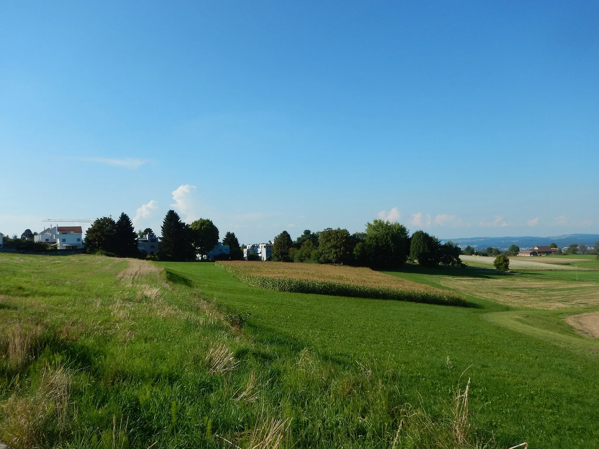 Photo showing: Pfaffhausen towards west