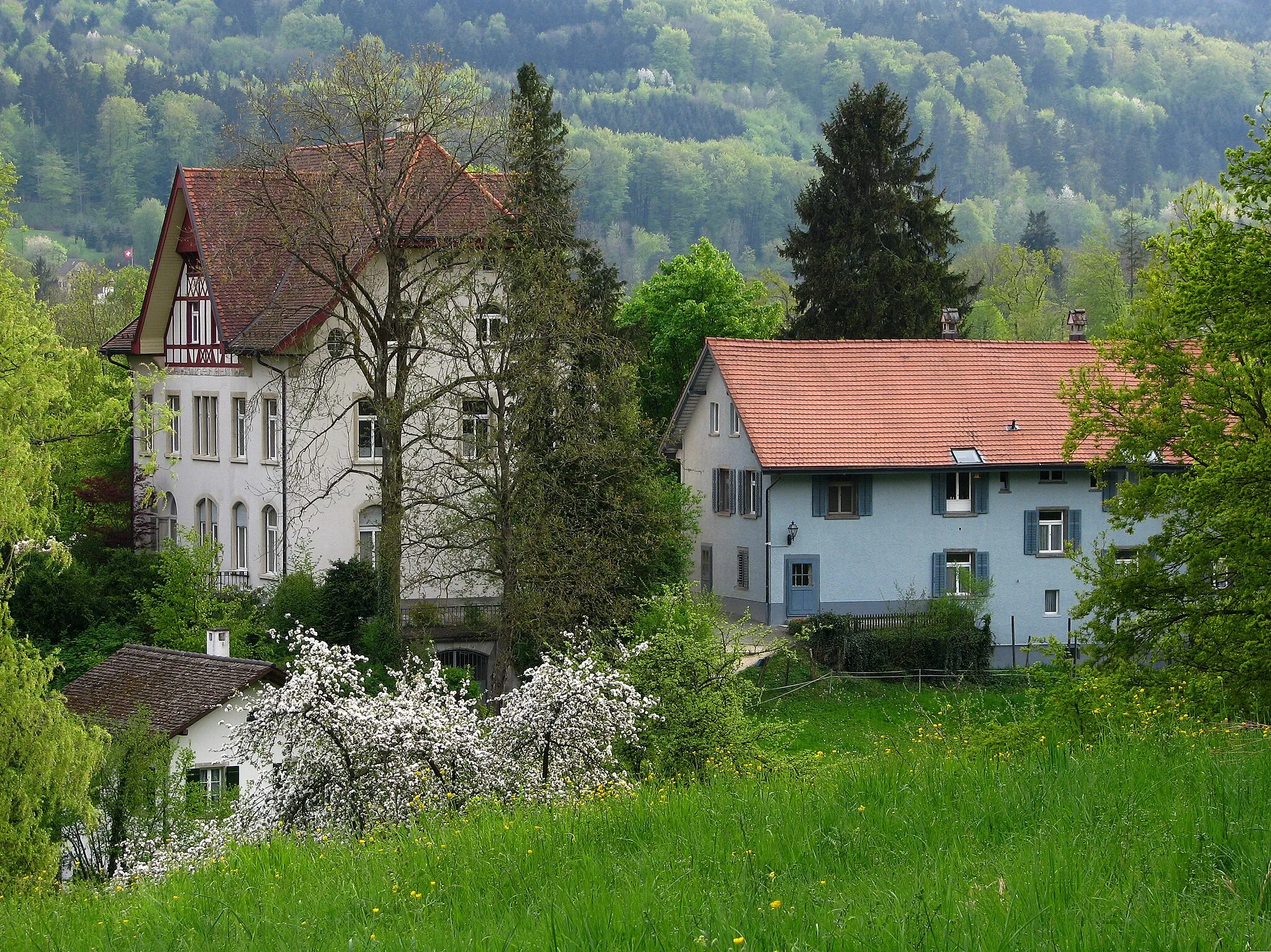 Photo showing: Gut Katzensee in Regensdorf (Switzerland)
