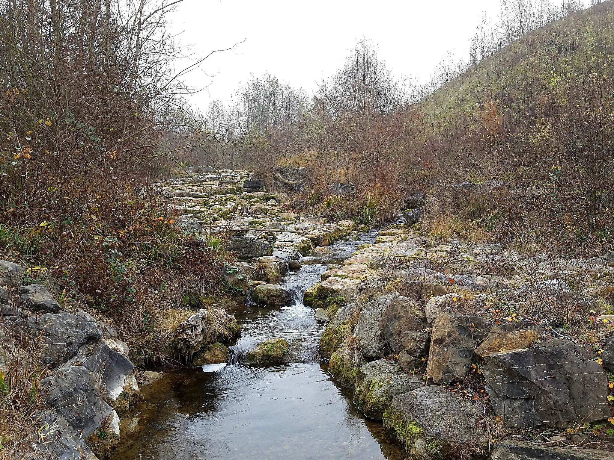 Photo showing: Die Reppisch bei Landikon (Birmensdorf) direkt auf der Gemeindegrenze zu Stallikon bei der Einmündung des Bättelweidbachs. Blick flussaufwärts in Richtung Sellenbüren (Stallikon).