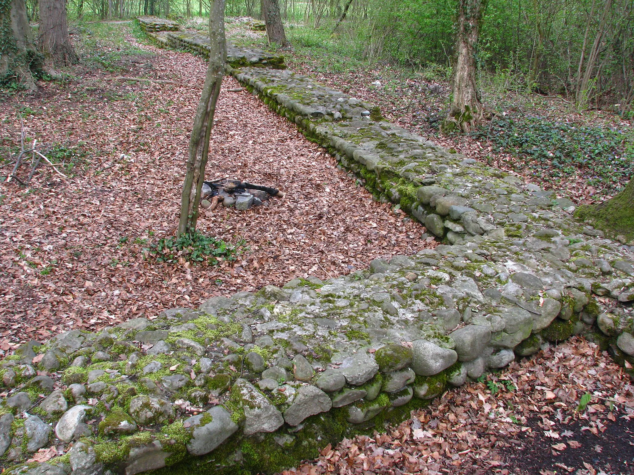 Photo showing: Mauerreste des Städtchens Glanzenberg in Unterengstringen