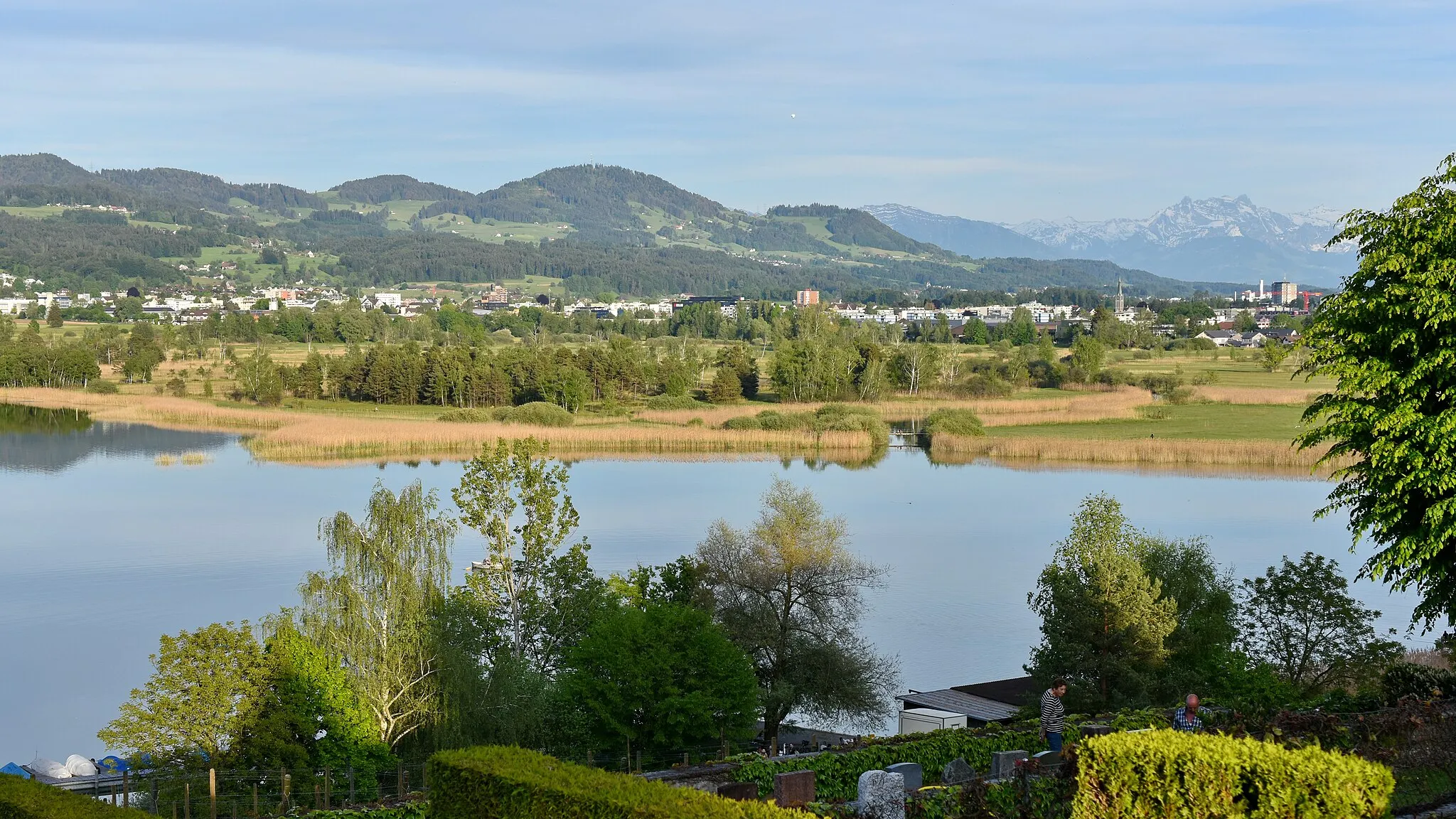 Photo showing: Robenhausener Ried alongside Pfäffikersee as seen from Jucker Farm in Seegräben (Switzerland)