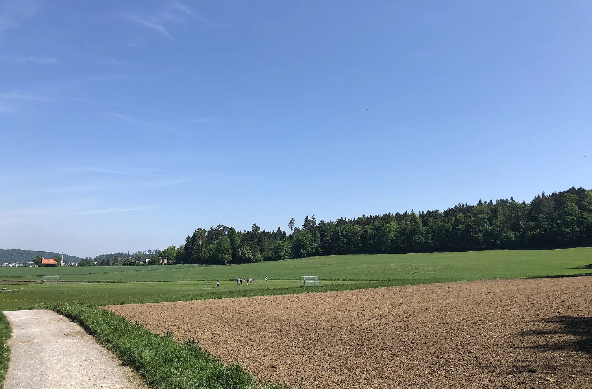 Photo showing: Rüterwies im de:Zollikerberg