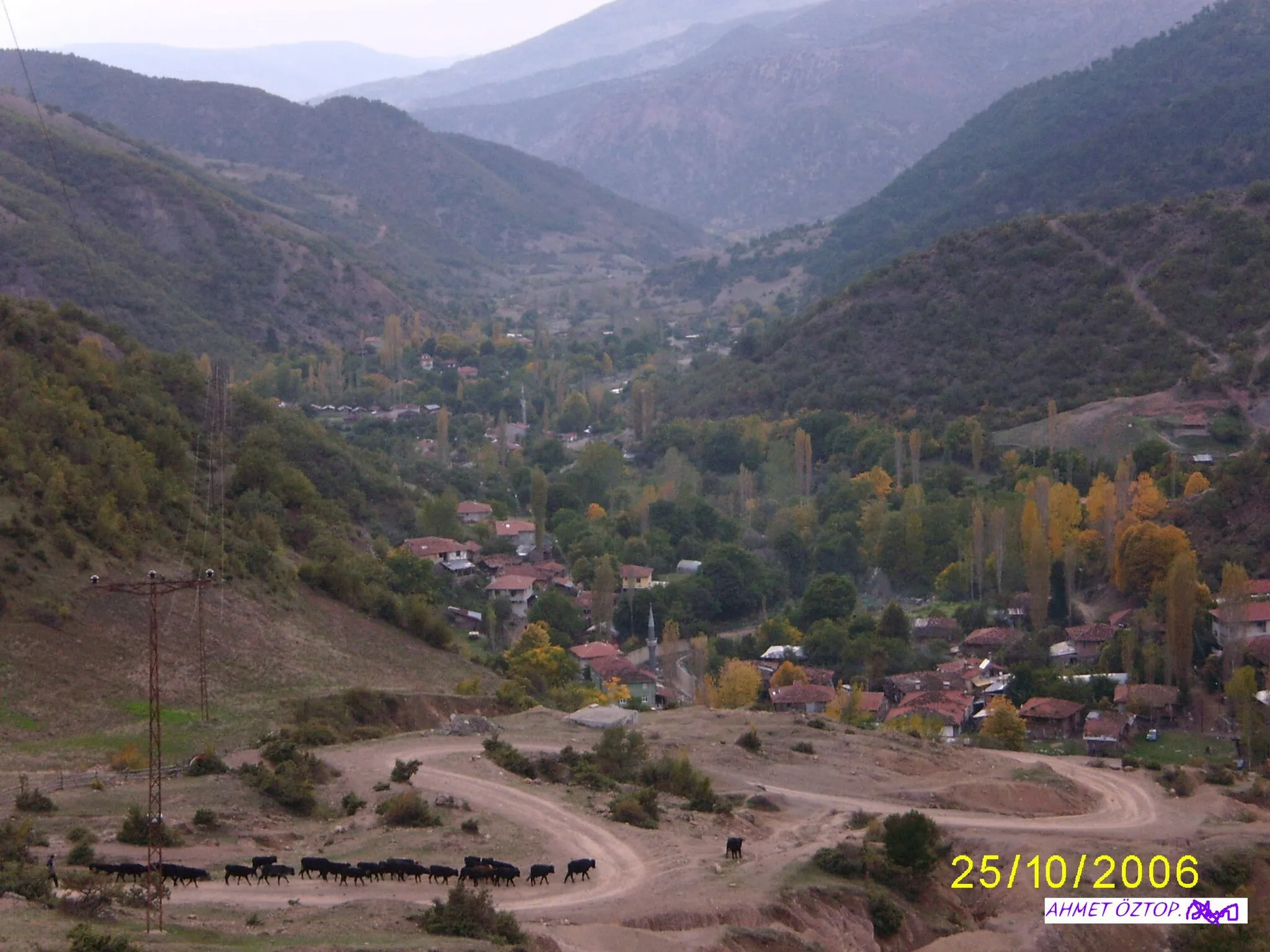 Image of Araç